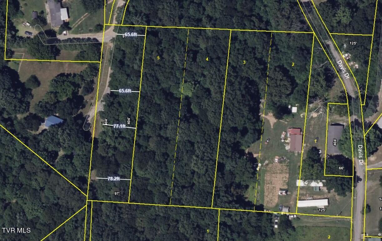 0000 Davis Rd, Rogersville, Tennessee image 3
