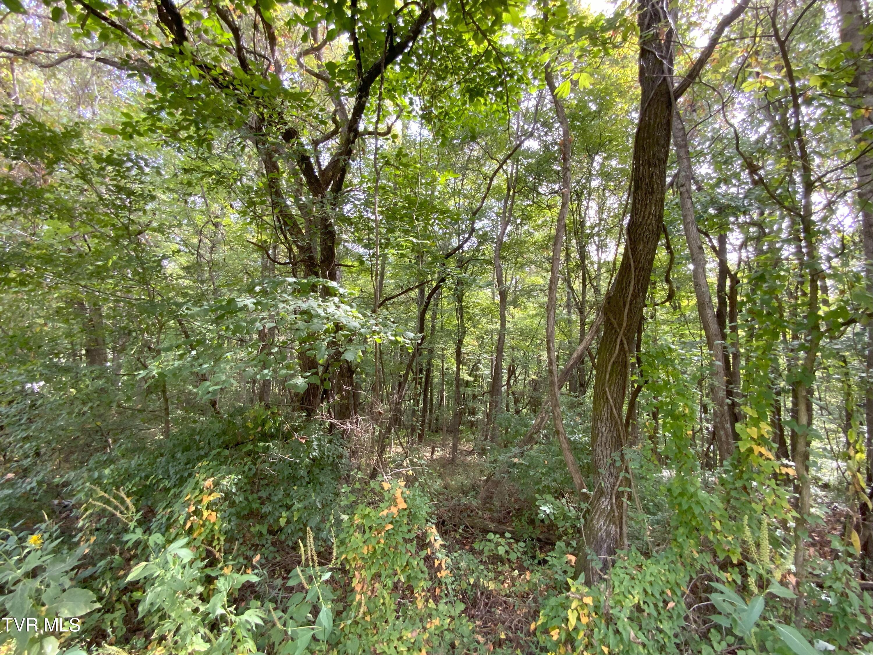 0000 Davis Rd, Rogersville, Tennessee image 12
