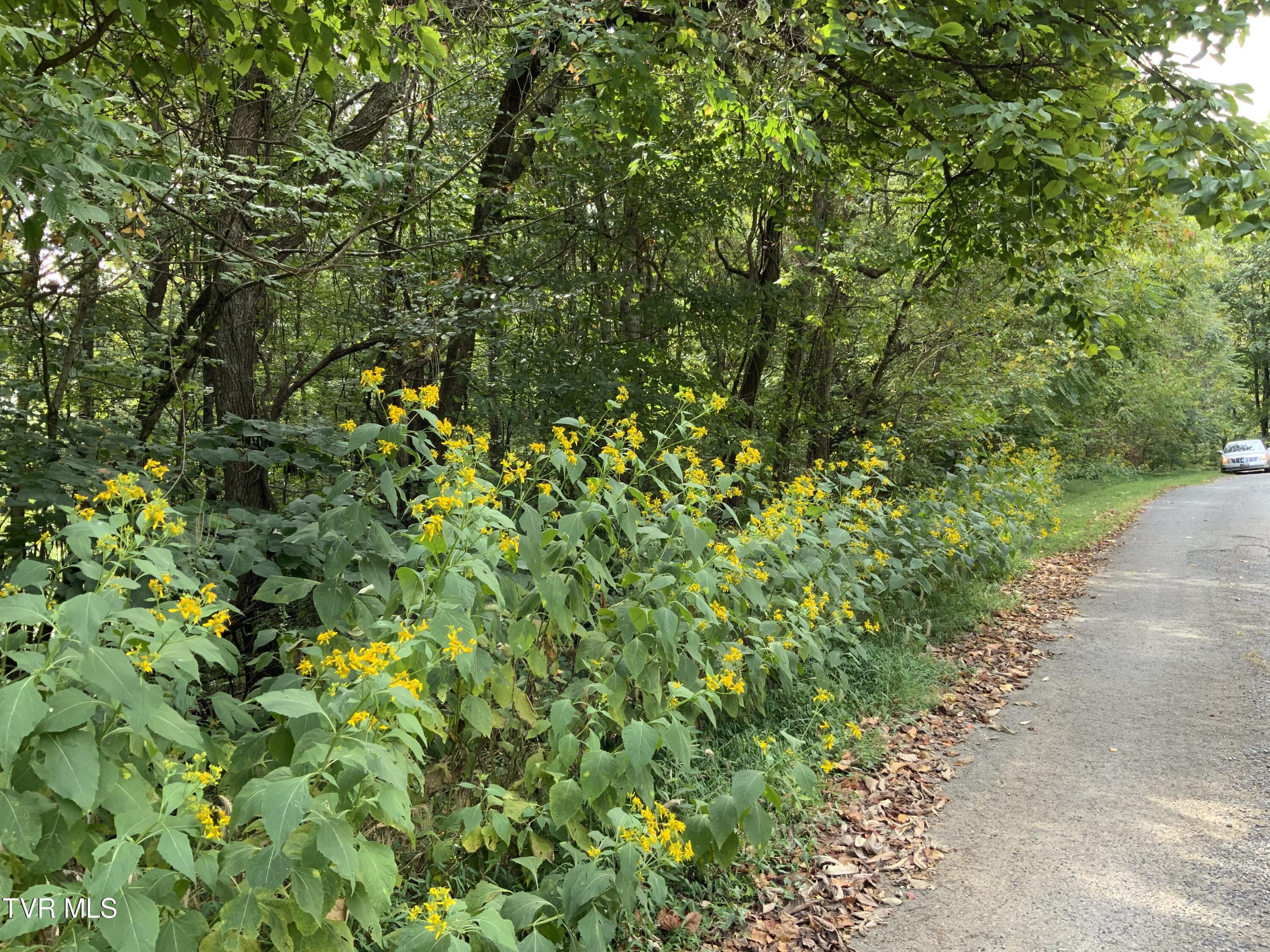 0000 Davis Rd, Rogersville, Tennessee image 13