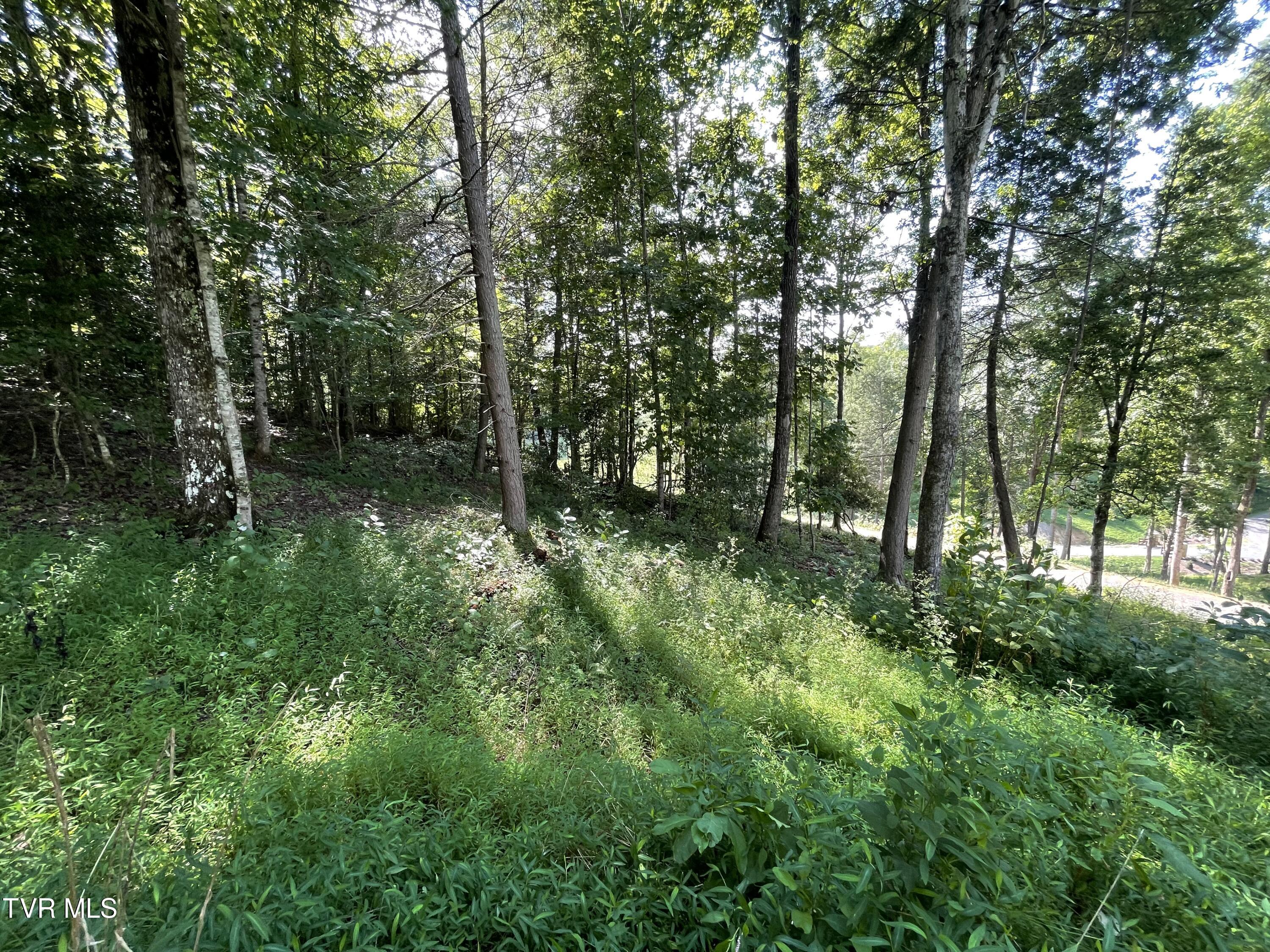 Tbd Vineyard Valley Trail, Butler, Tennessee image 22