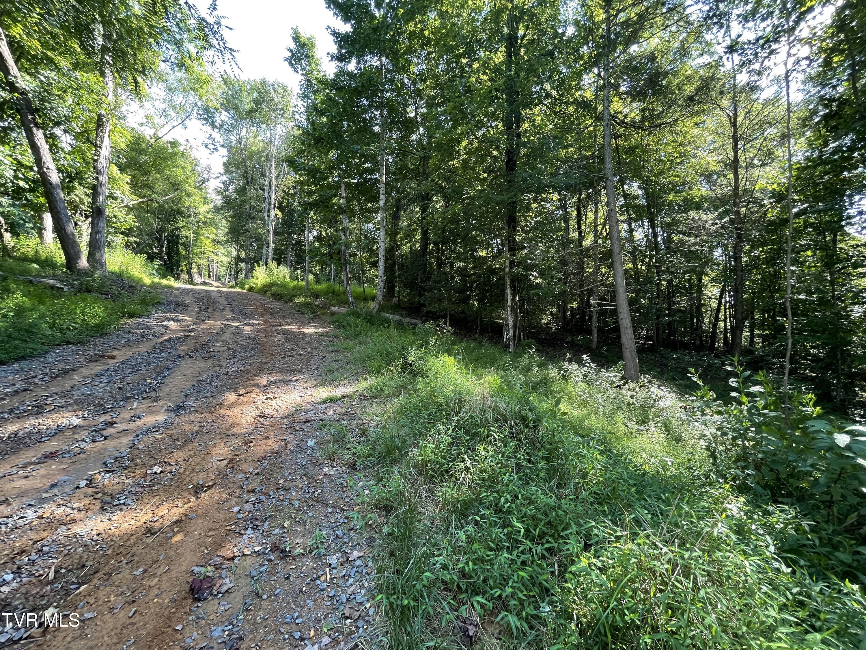 Tbd Vineyard Valley Trail, Butler, Tennessee image 26