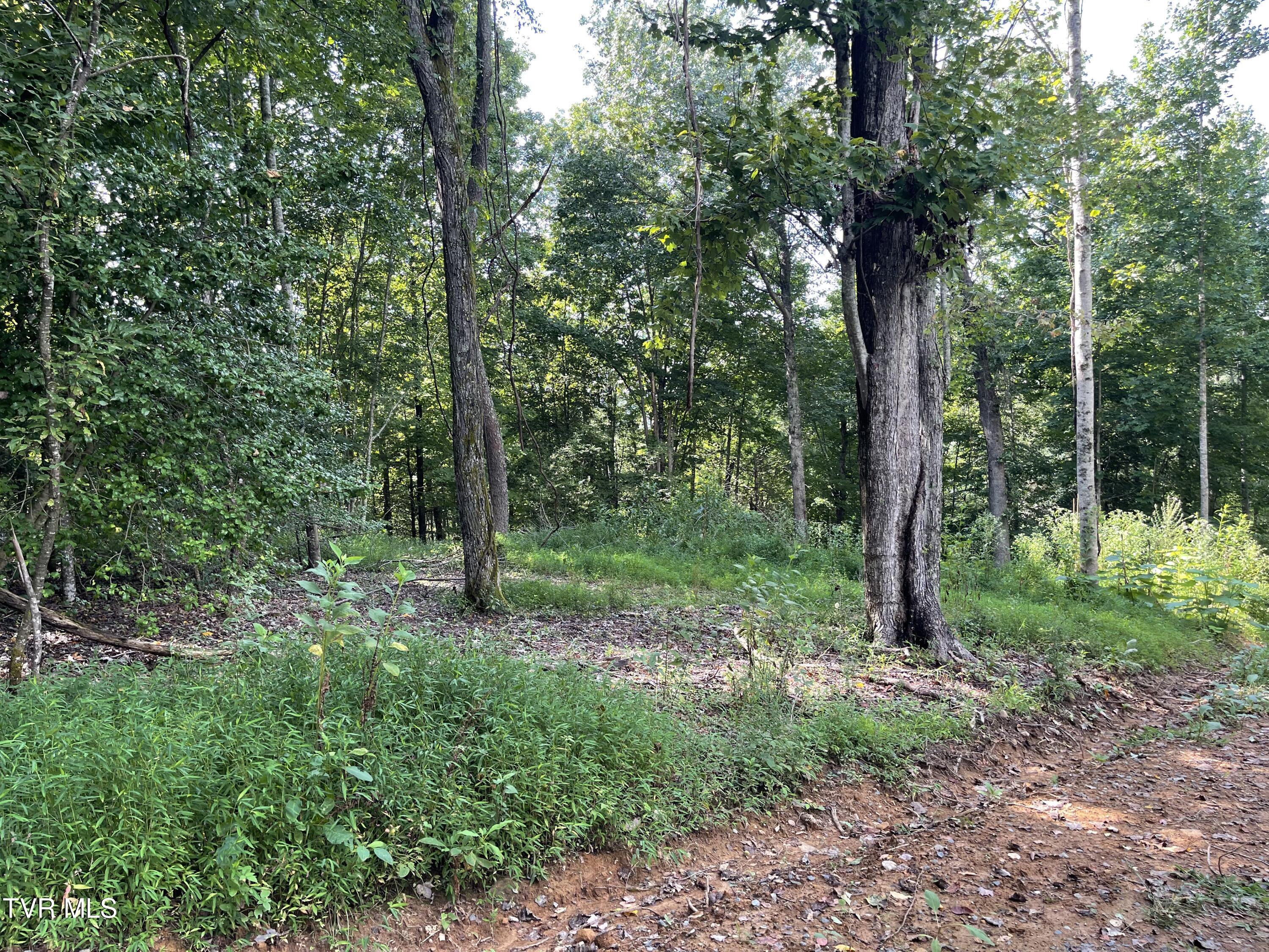 Tbd Vineyard Valley Trail, Butler, Tennessee image 11