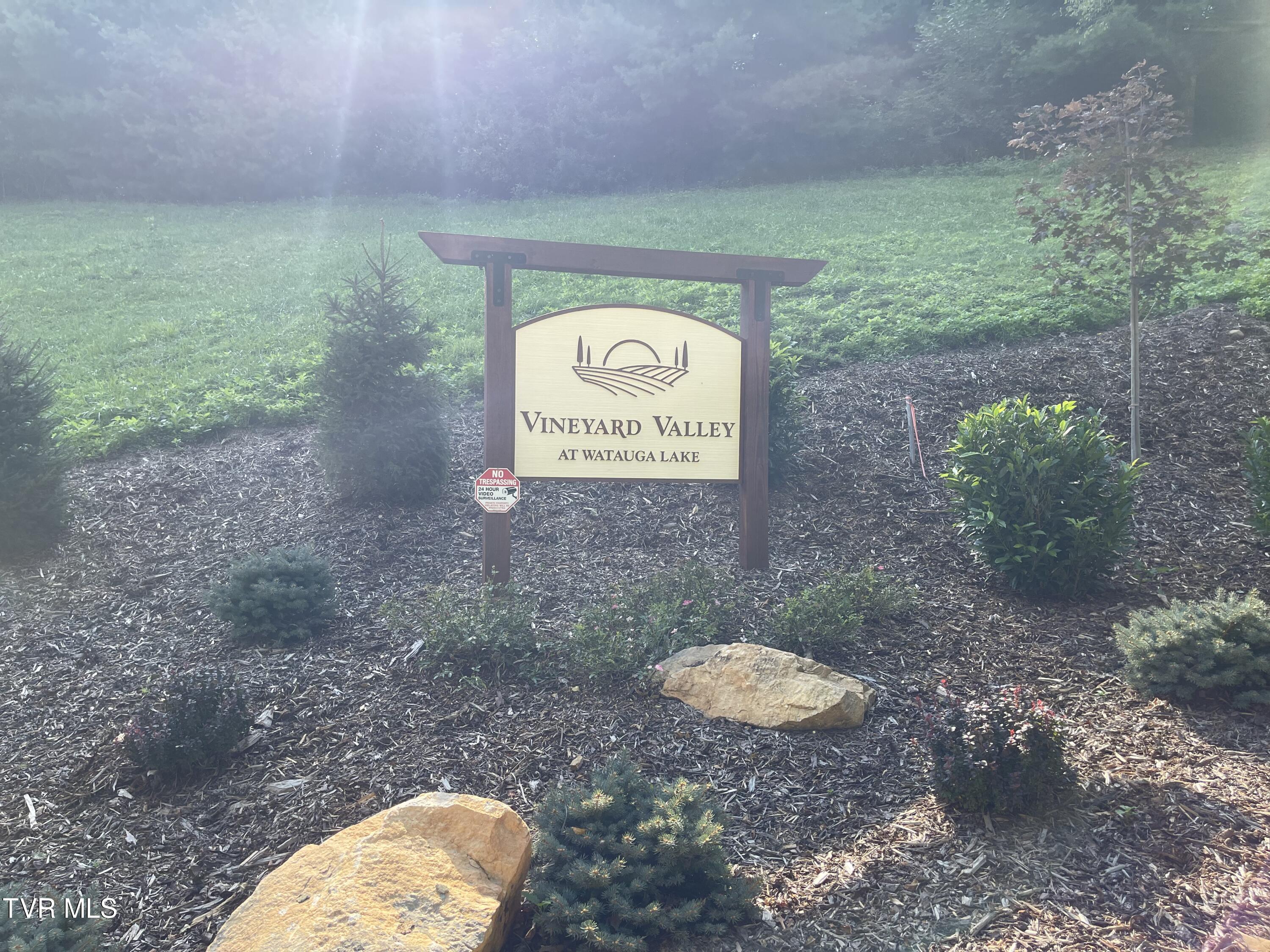 Tbd Vineyard Valley Trail, Butler, Tennessee image 2