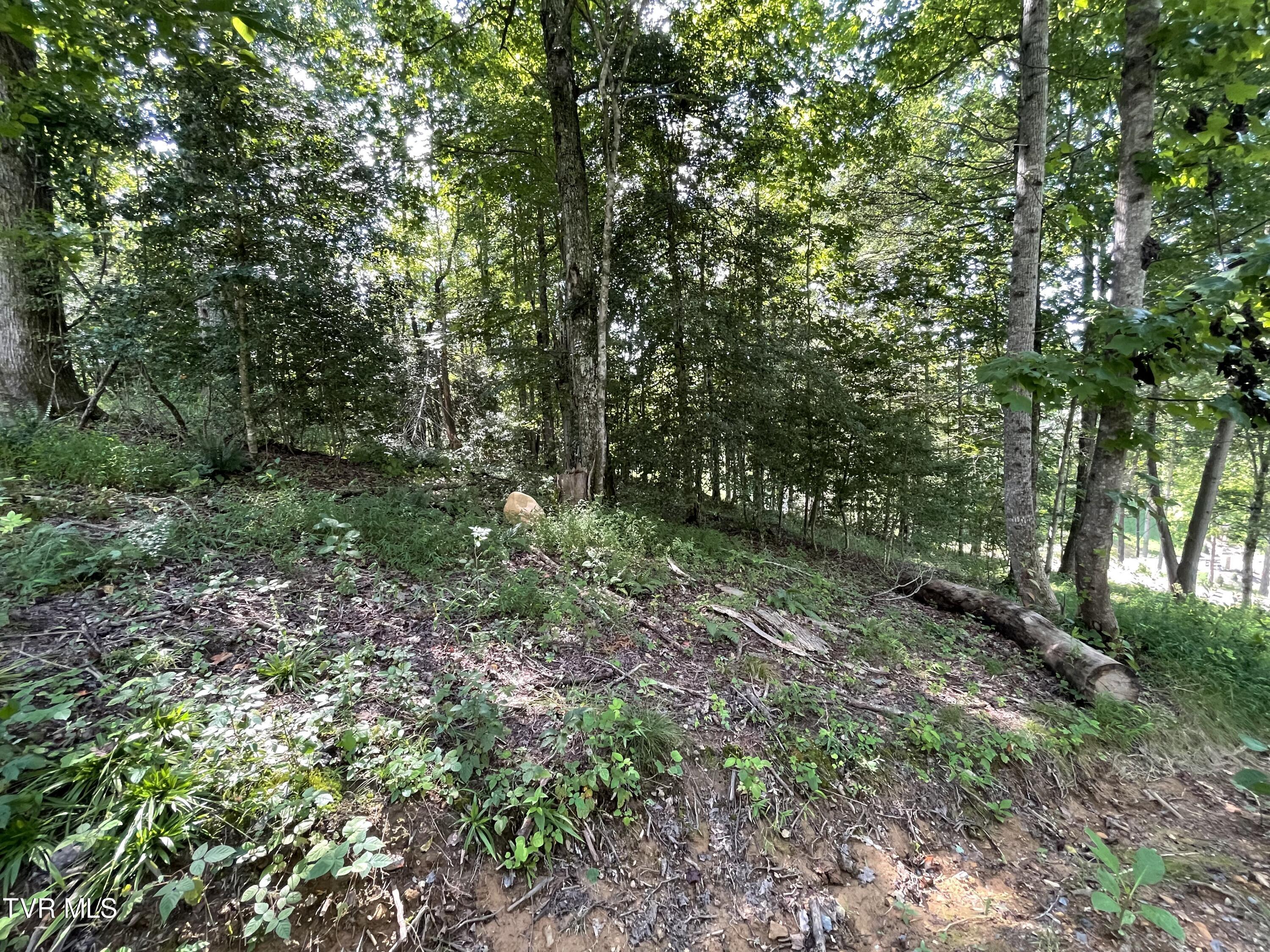 Tbd Vineyard Valley Trail, Butler, Tennessee image 19