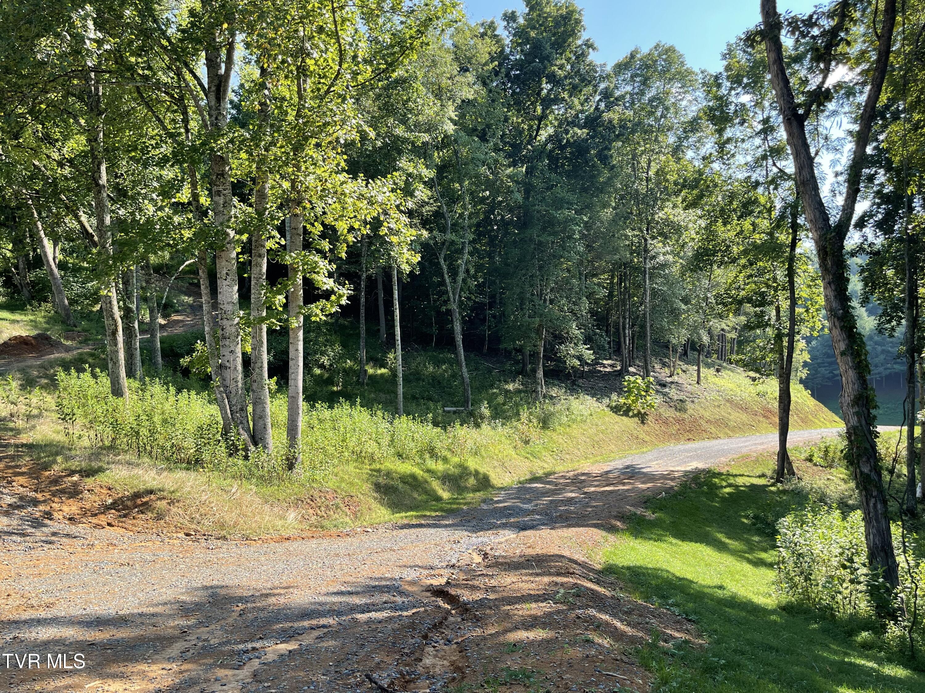 Tbd Vineyard Valley Trail, Butler, Tennessee image 29