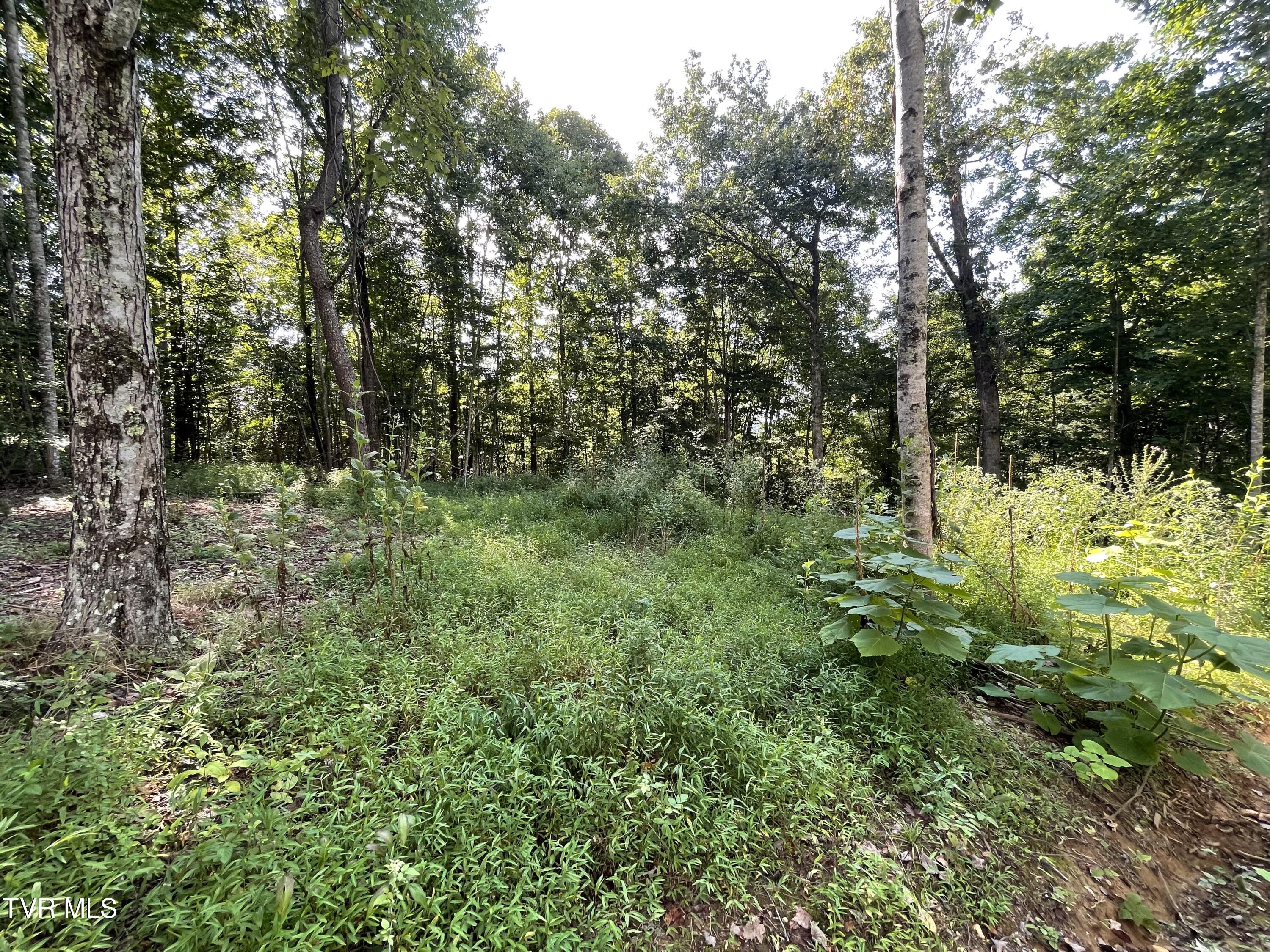 Tbd Vineyard Valley Trail, Butler, Tennessee image 18