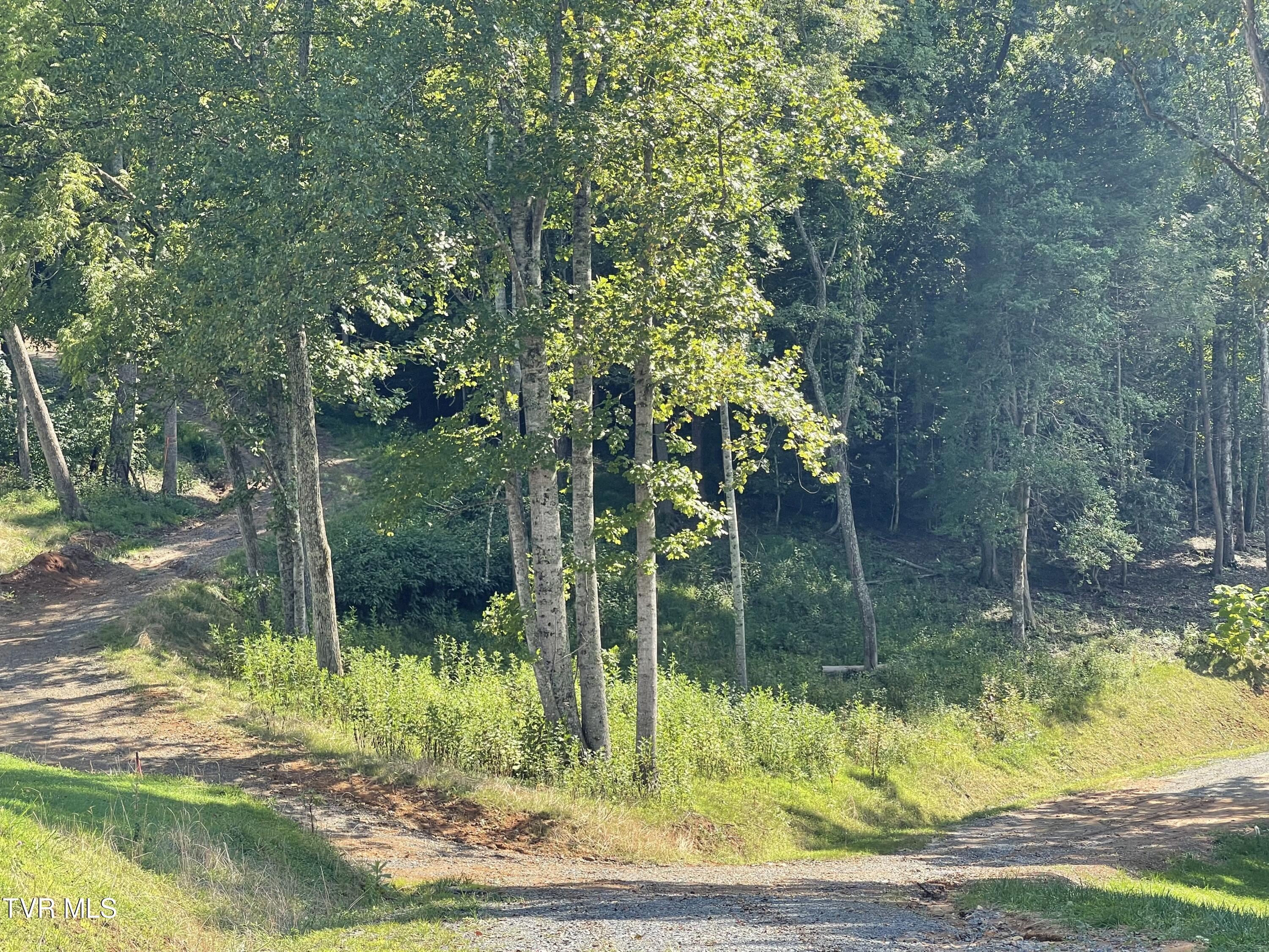Tbd Vineyard Valley Trail, Butler, Tennessee image 28