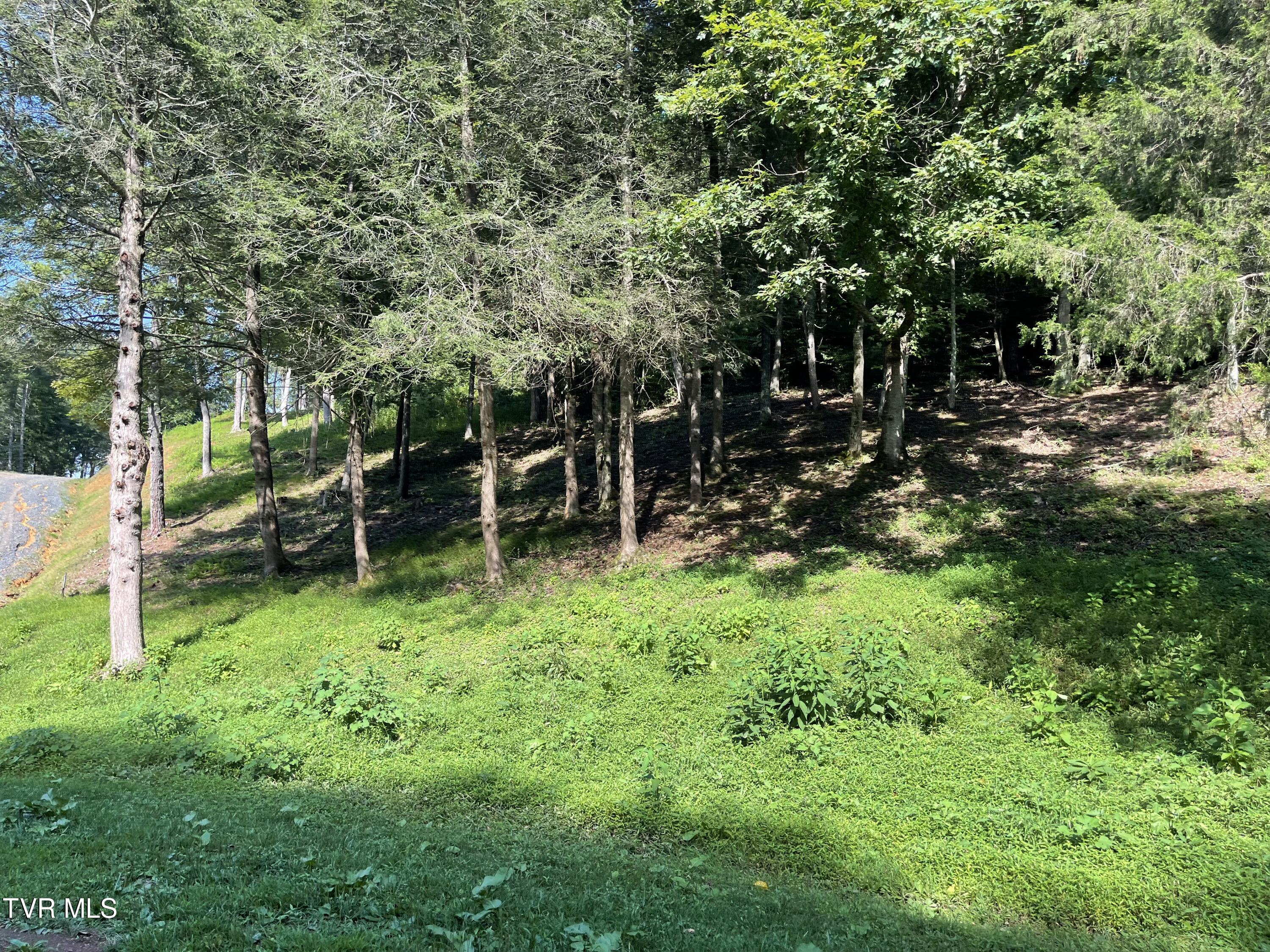 Tbd Vineyard Valley Trail, Butler, Tennessee image 34