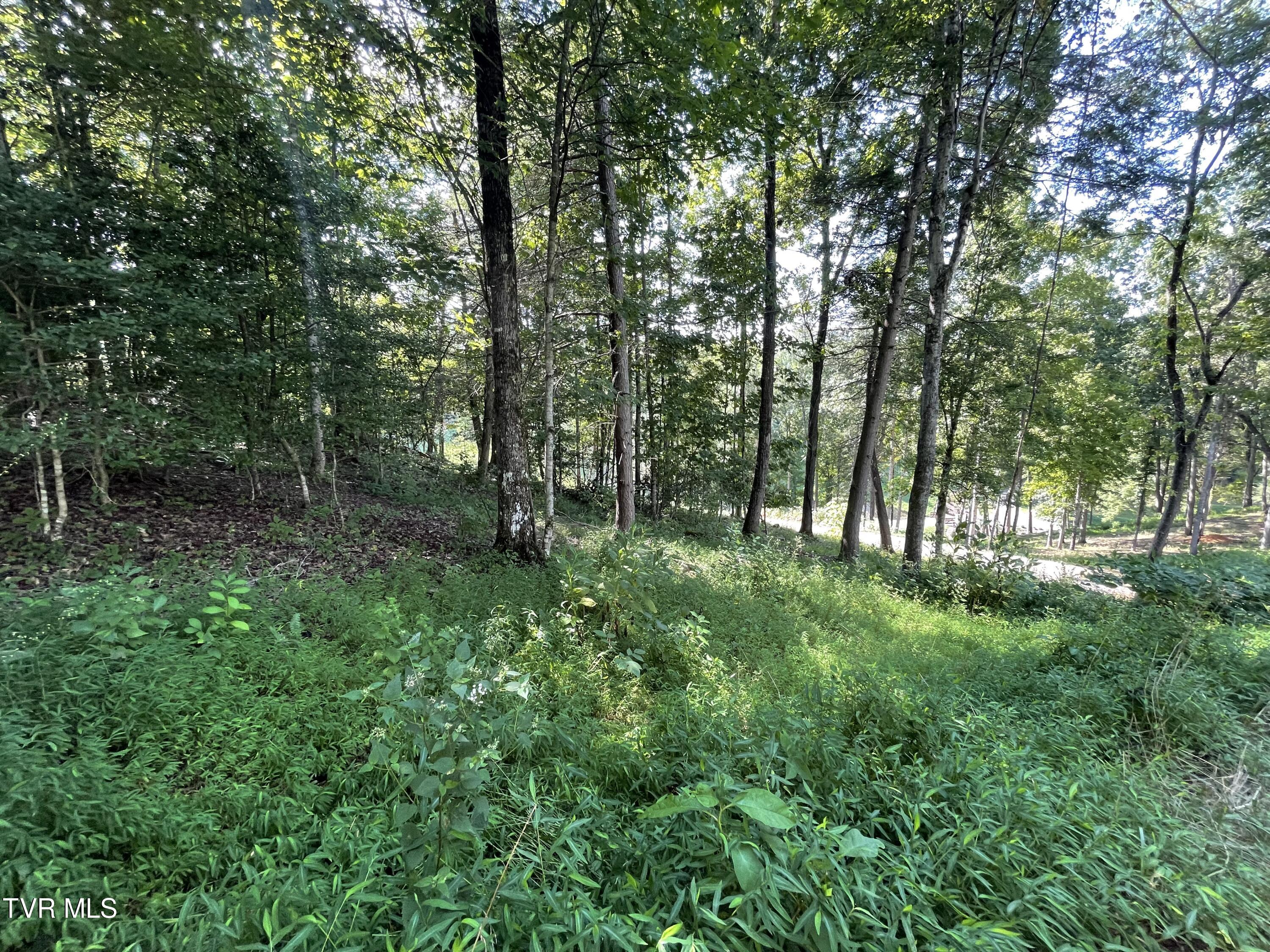 Tbd Vineyard Valley Trail, Butler, Tennessee image 21