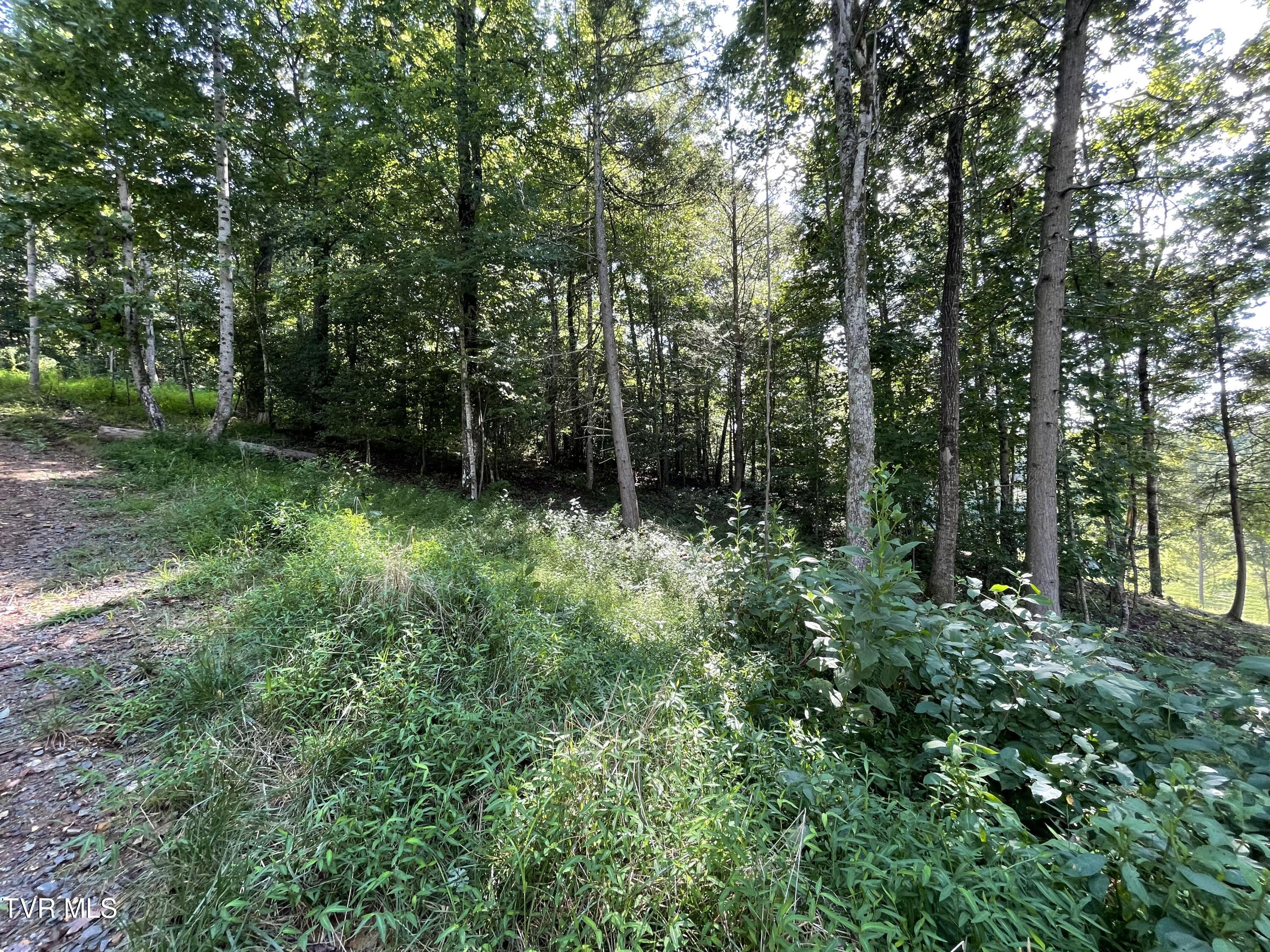 Tbd Vineyard Valley Trail, Butler, Tennessee image 25