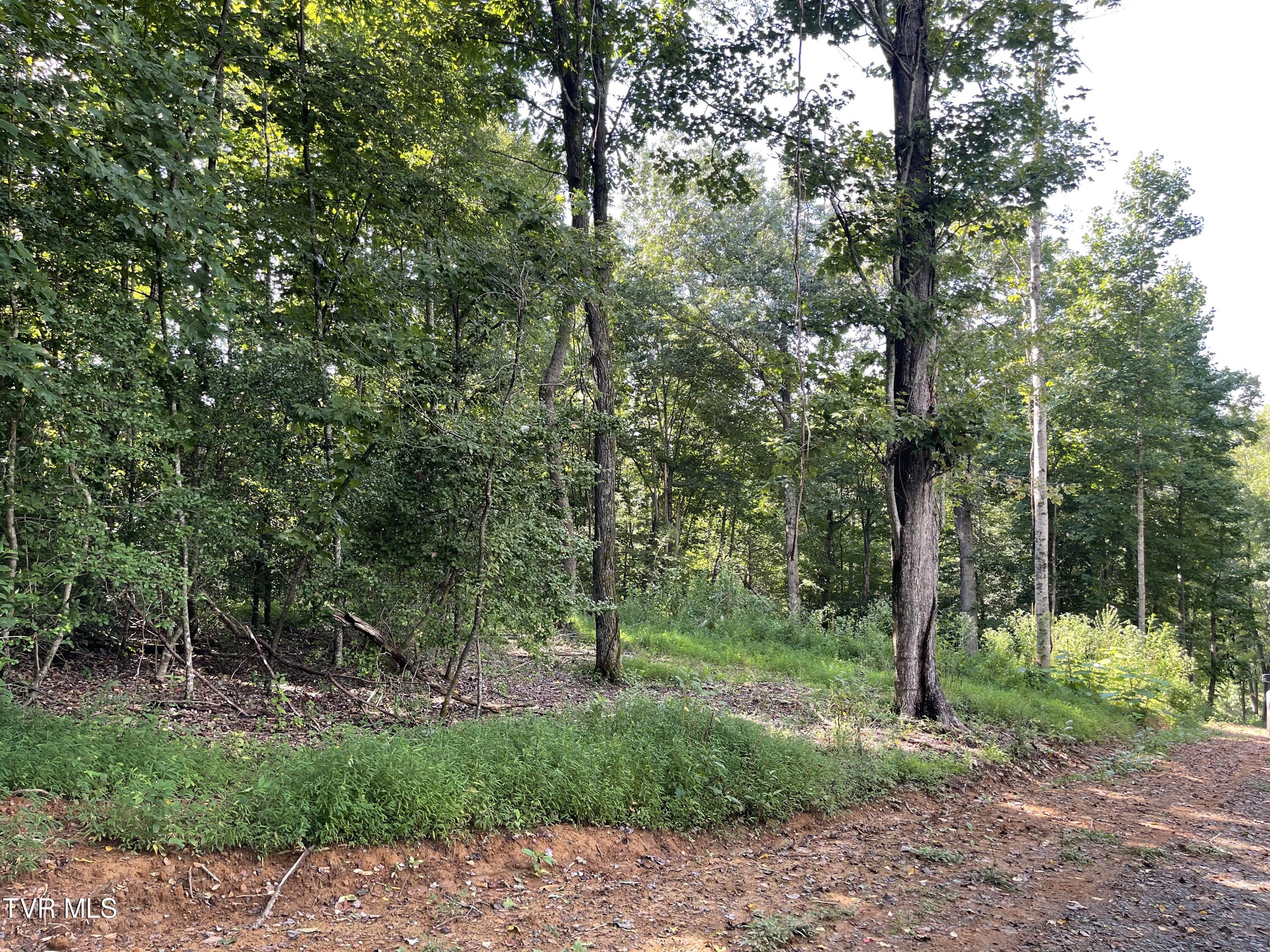Tbd Vineyard Valley Trail, Butler, Tennessee image 14