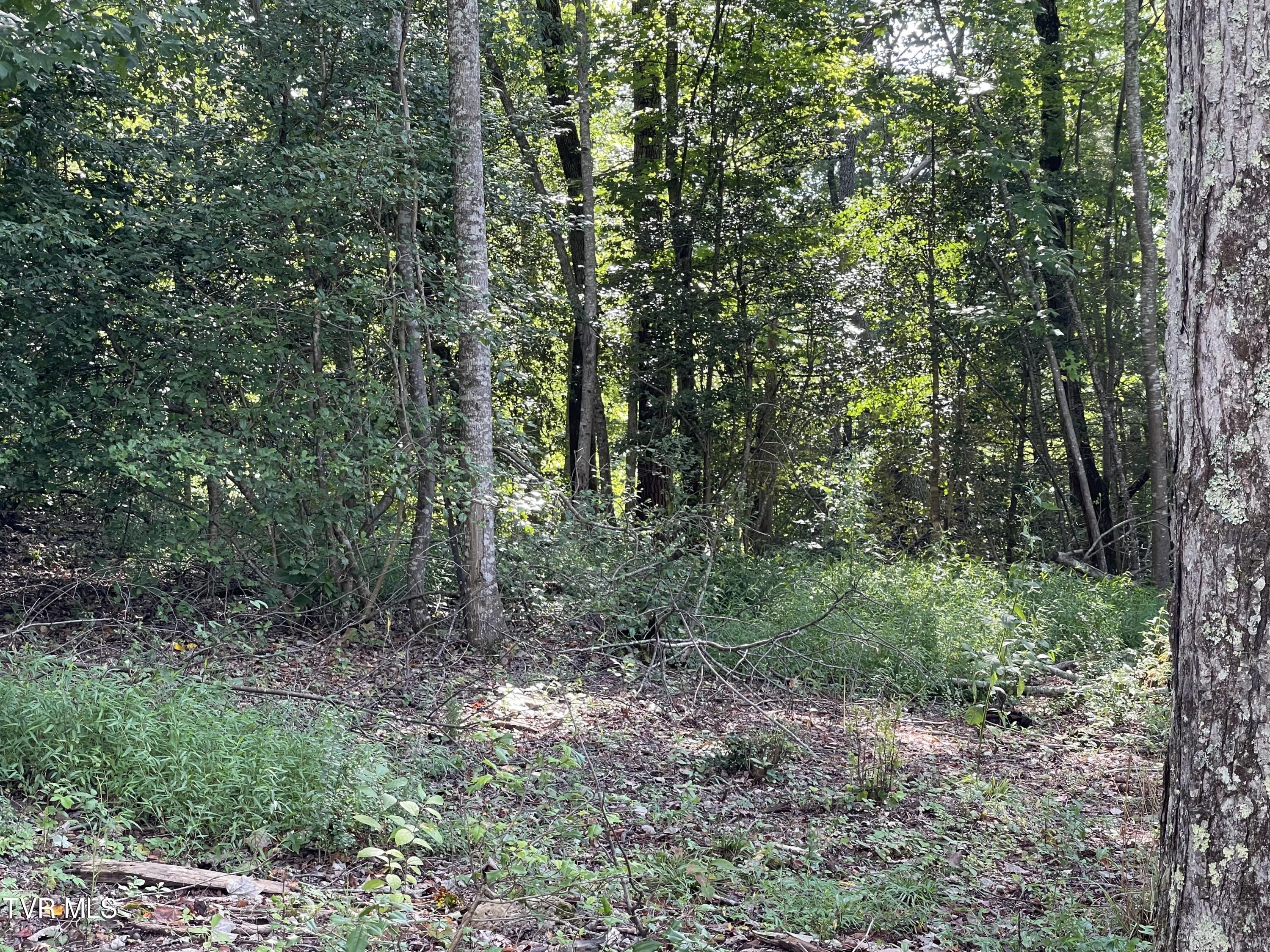 Tbd Vineyard Valley Trail, Butler, Tennessee image 17