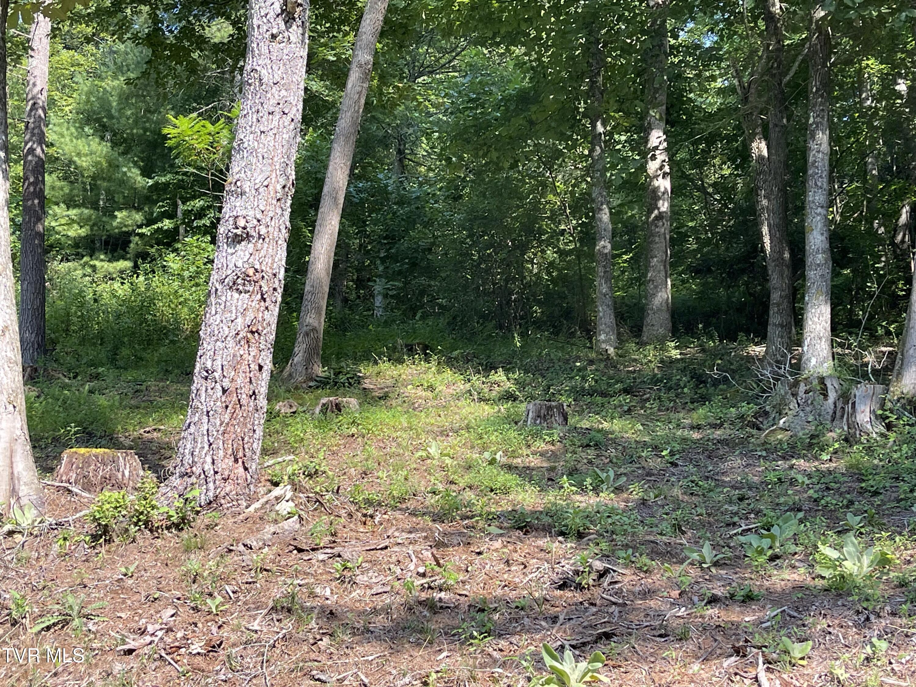 Tbd Vineyard Valley Trail, Butler, Tennessee image 32