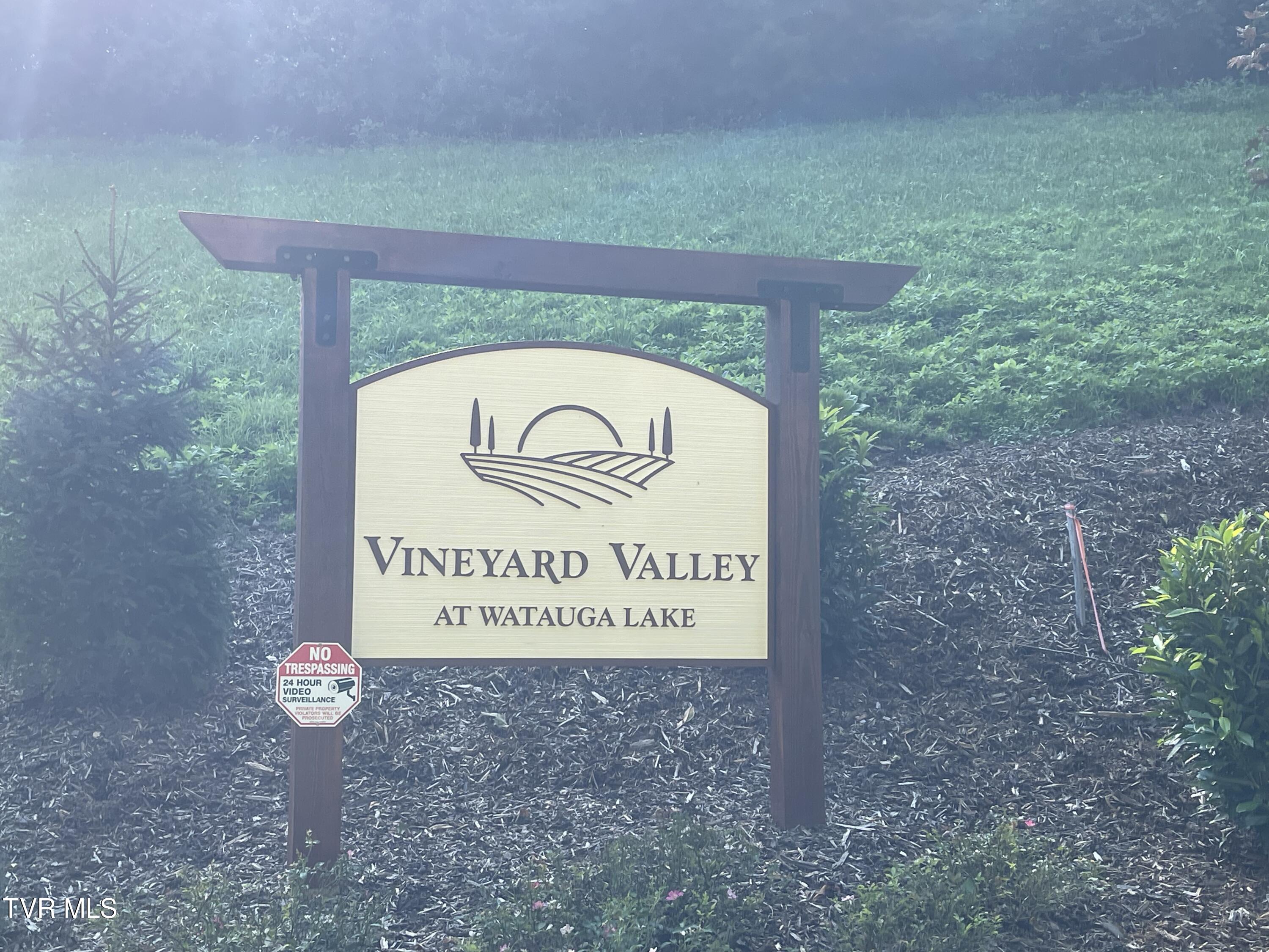 Tbd Vineyard Valley Trail, Butler, Tennessee image 3