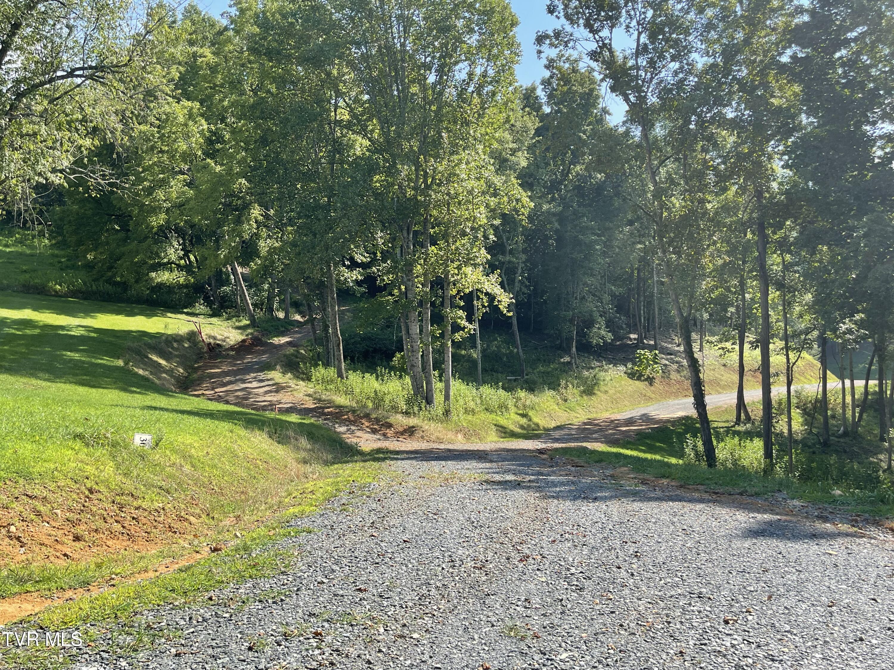 Tbd Vineyard Valley Trail, Butler, Tennessee image 27
