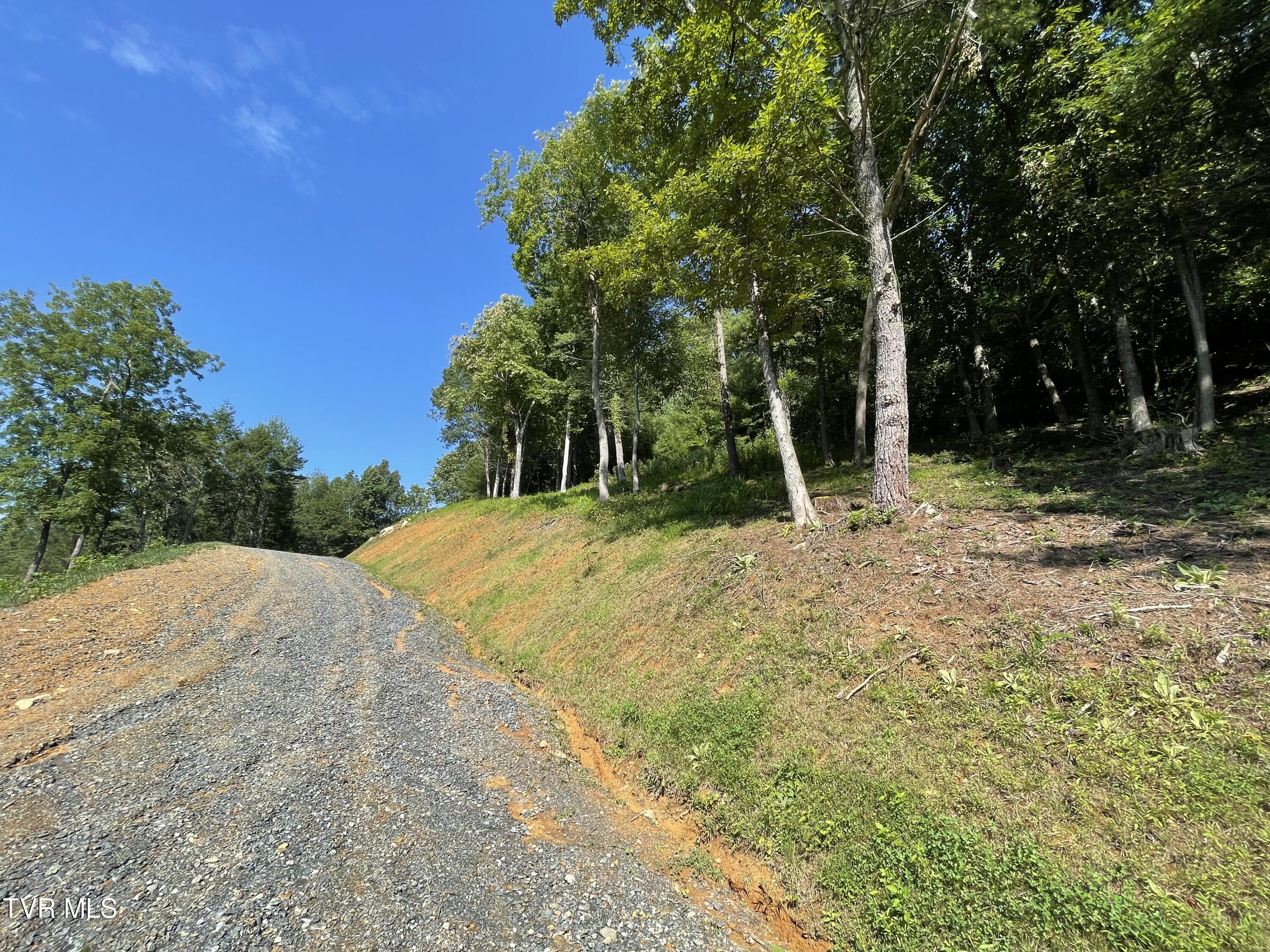 Tbd Vineyard Valley Trail, Butler, Tennessee image 31