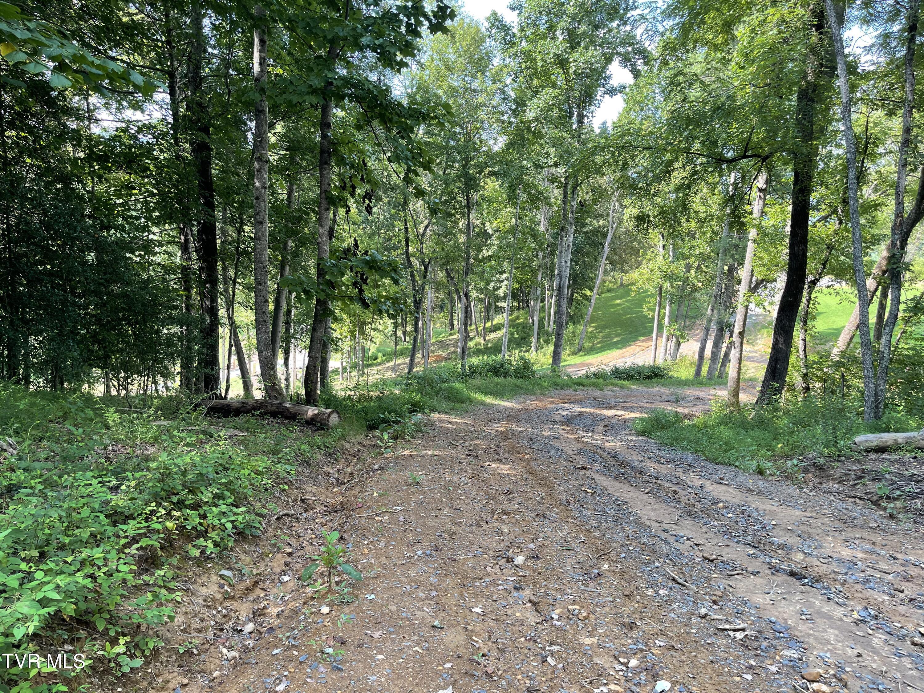 Tbd Vineyard Valley Trail, Butler, Tennessee image 8