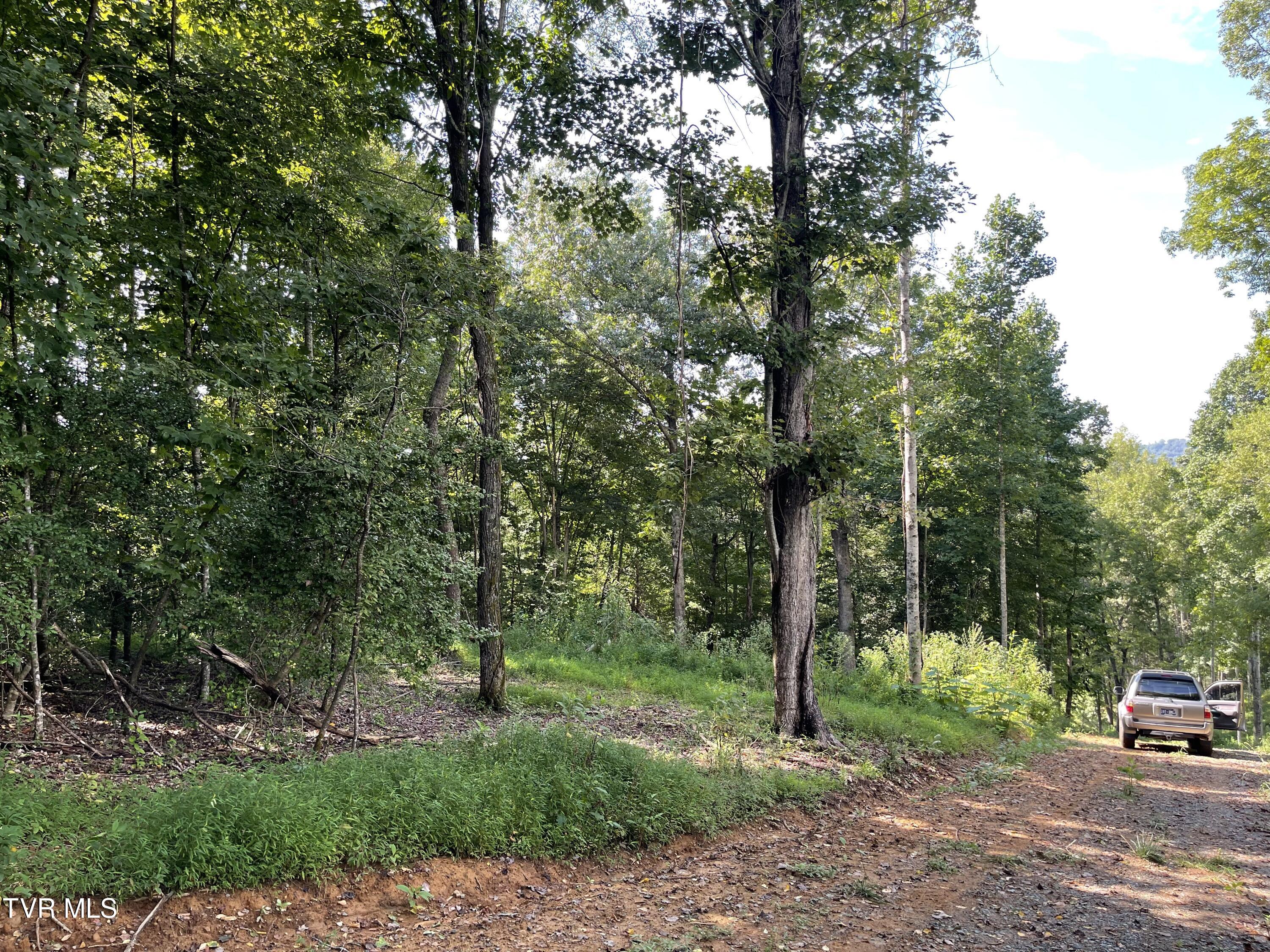 Tbd Vineyard Valley Trail, Butler, Tennessee image 15