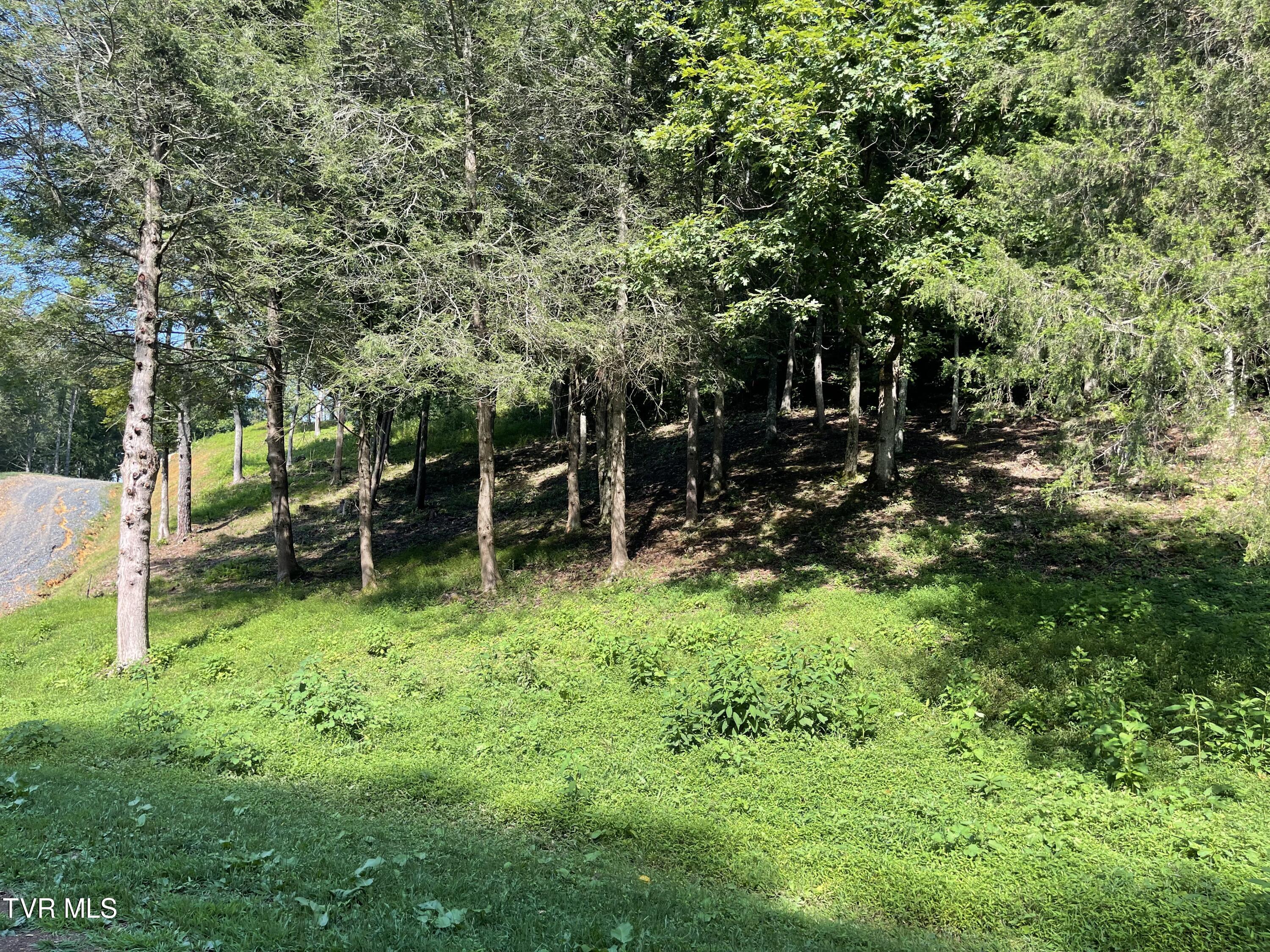 Tbd Vineyard Valley Trail, Butler, Tennessee image 33