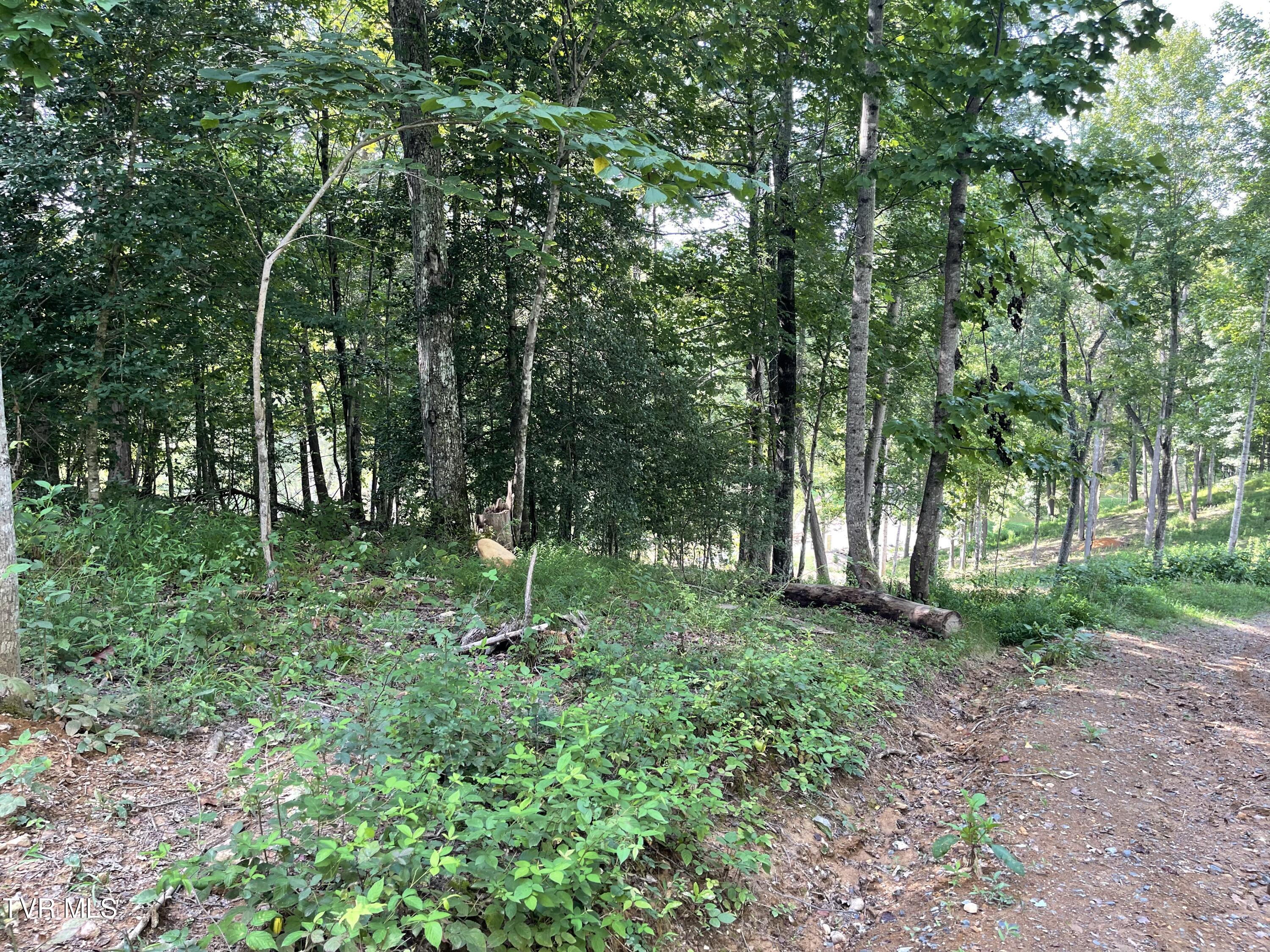 Tbd Vineyard Valley Trail, Butler, Tennessee image 7