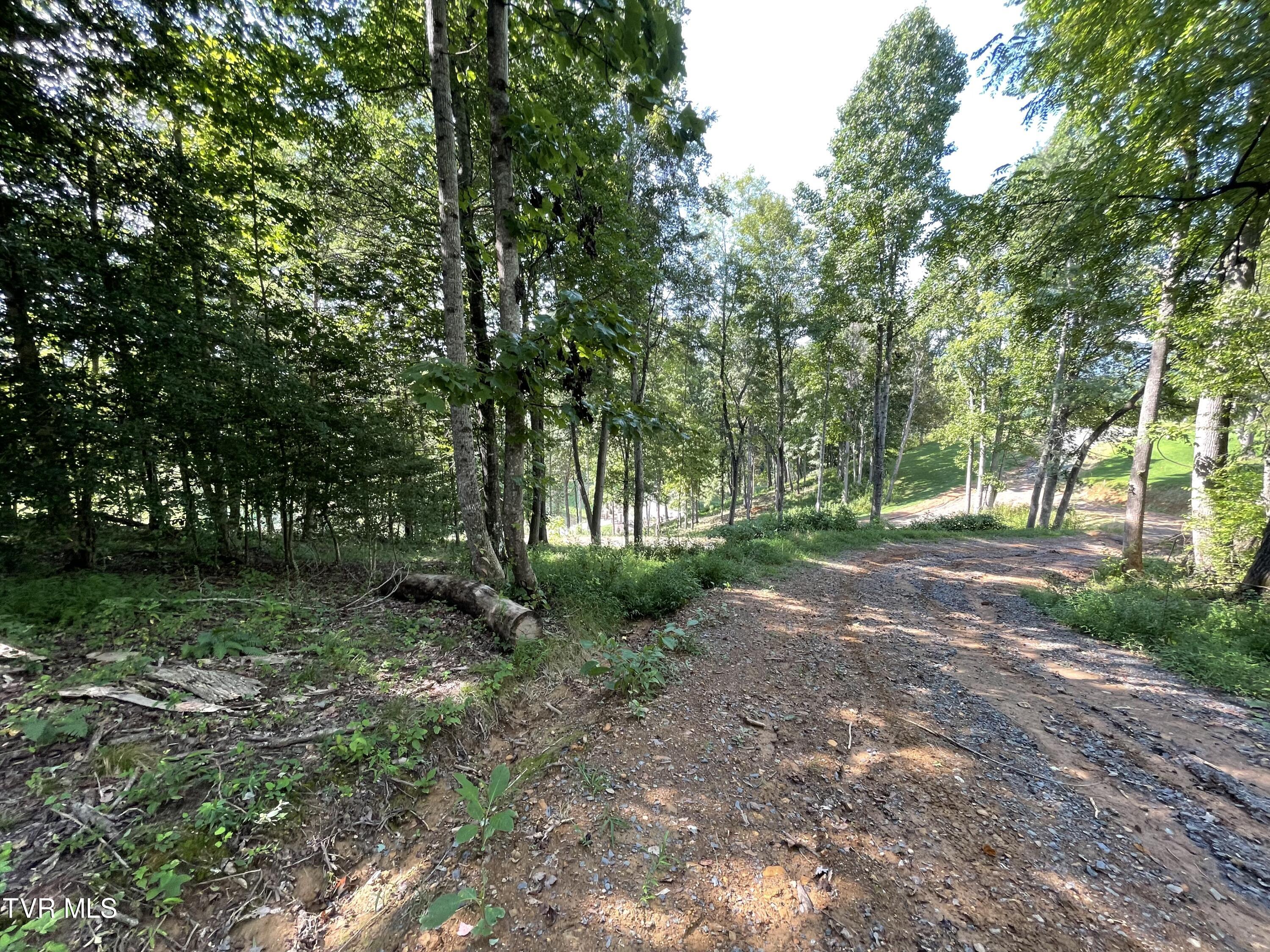 Tbd Vineyard Valley Trail, Butler, Tennessee image 20