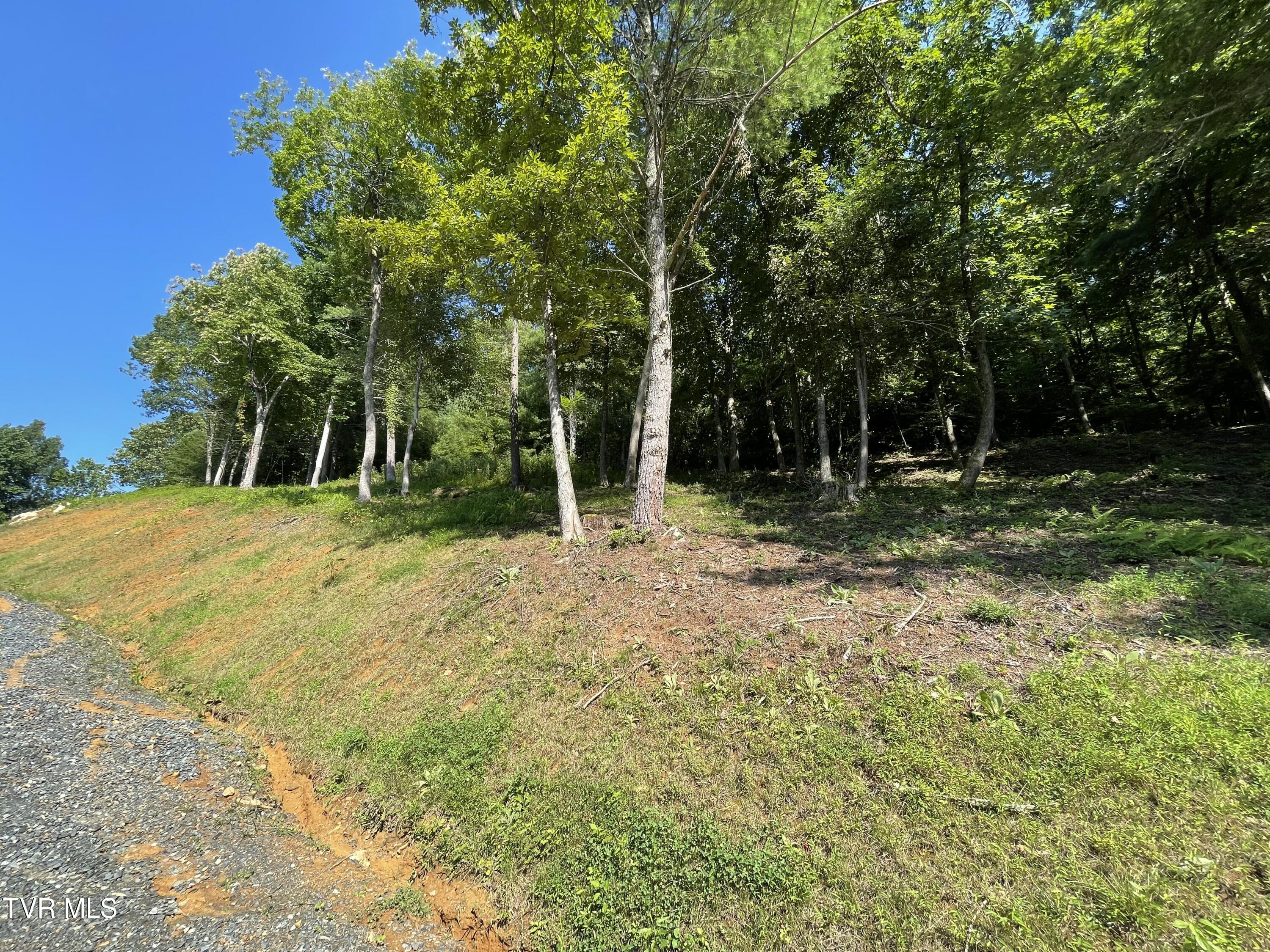 Tbd Vineyard Valley Trail, Butler, Tennessee image 30