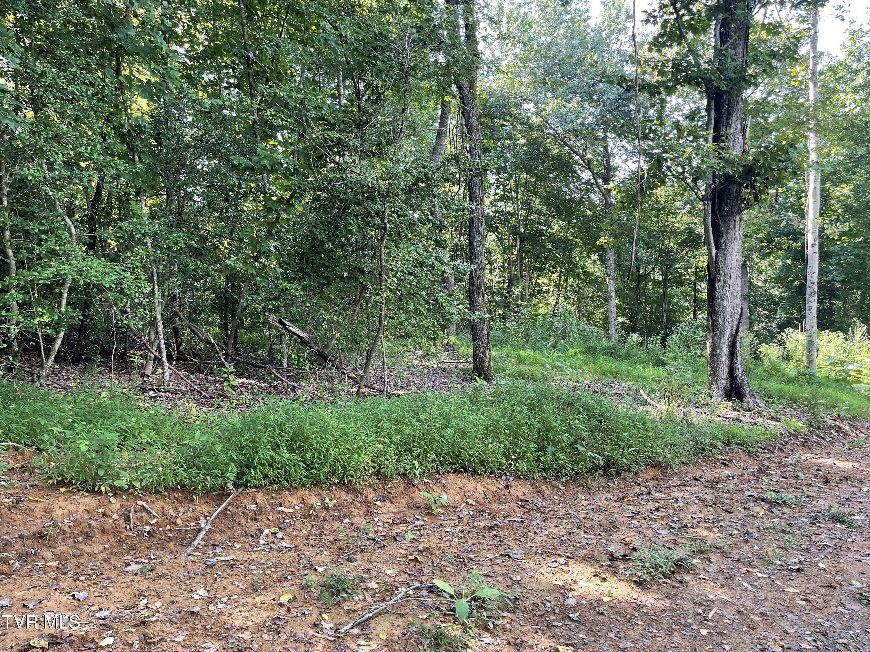 Tbd Vineyard Valley Trail, Butler, Tennessee image 12