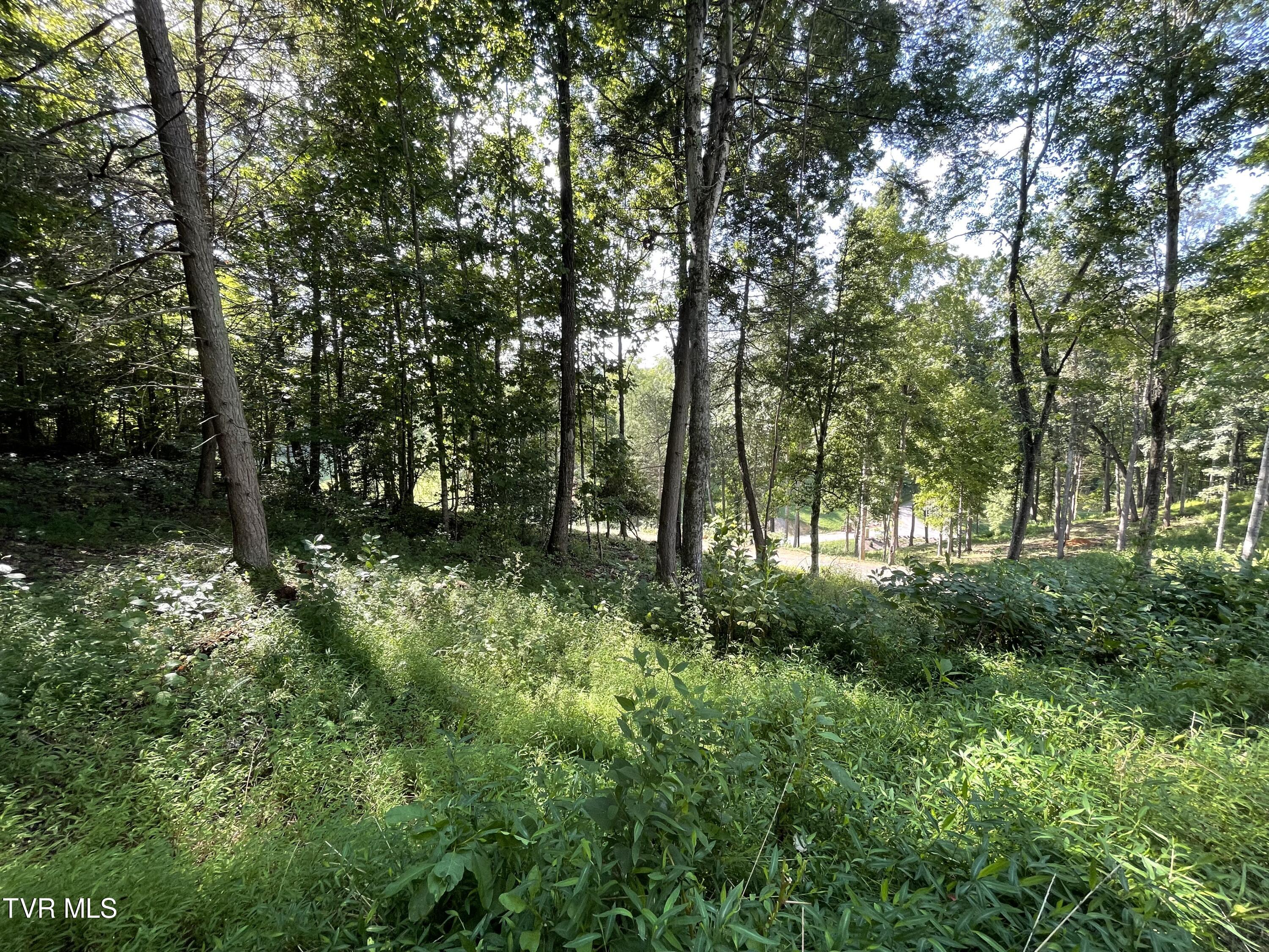 Tbd Vineyard Valley Trail, Butler, Tennessee image 23
