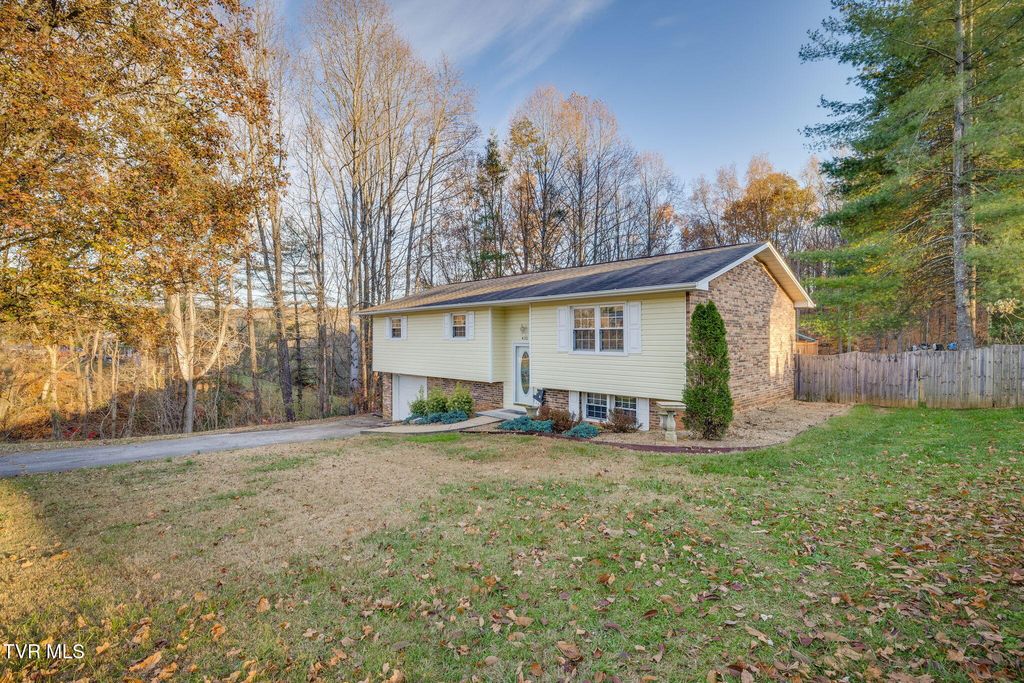 Photo of 432 Poplar Street, Mount Carmel, TN 37645 (MLS # 9990298)