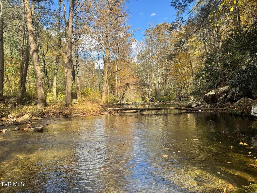 Photo of 150 Little Branch Road, Flag Pond, TN 37657 (MLS # 9987586)