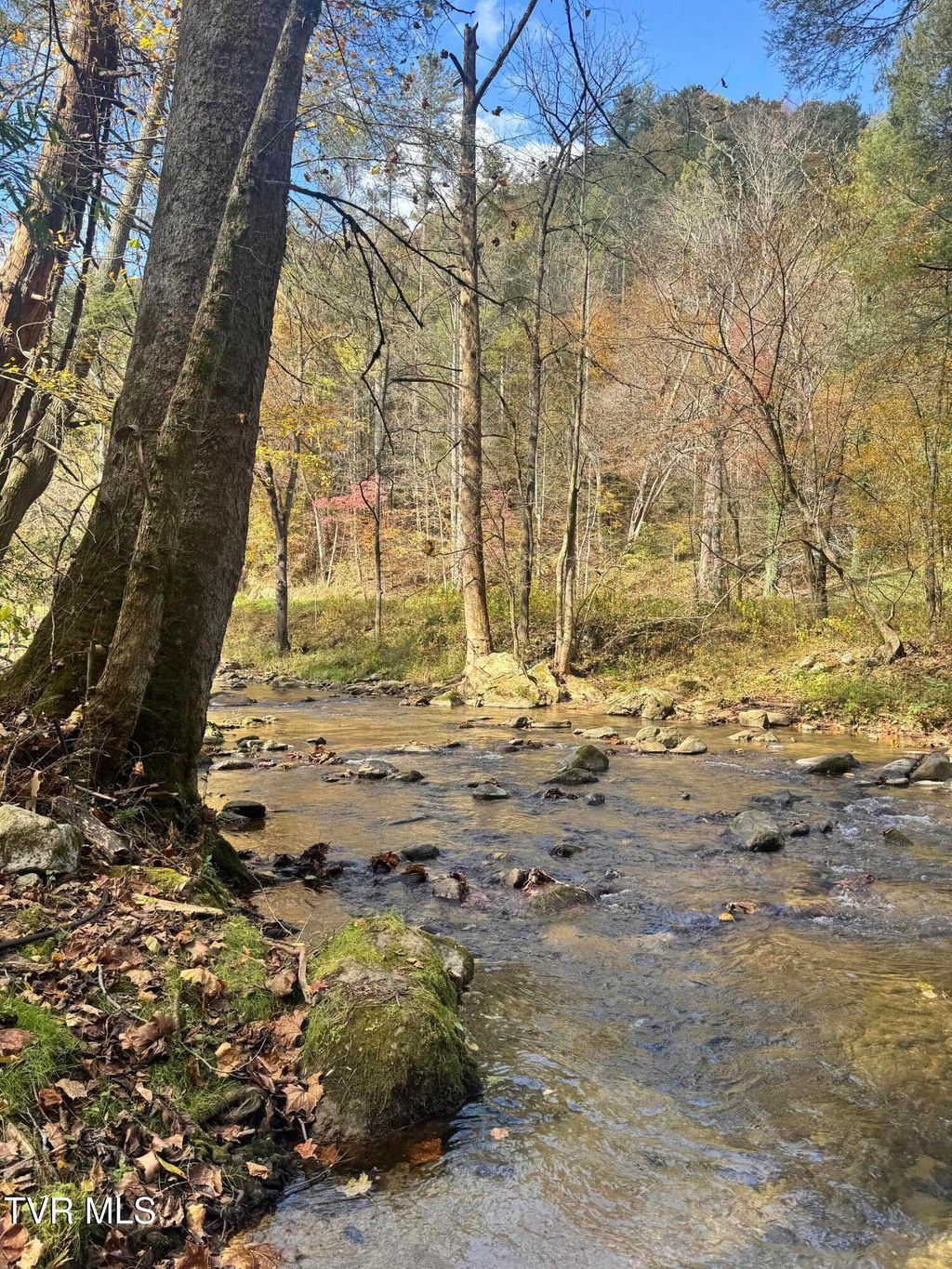 Photo of 150 Little Branch Road, Flag Pond, TN 37657 (MLS # 9987586)