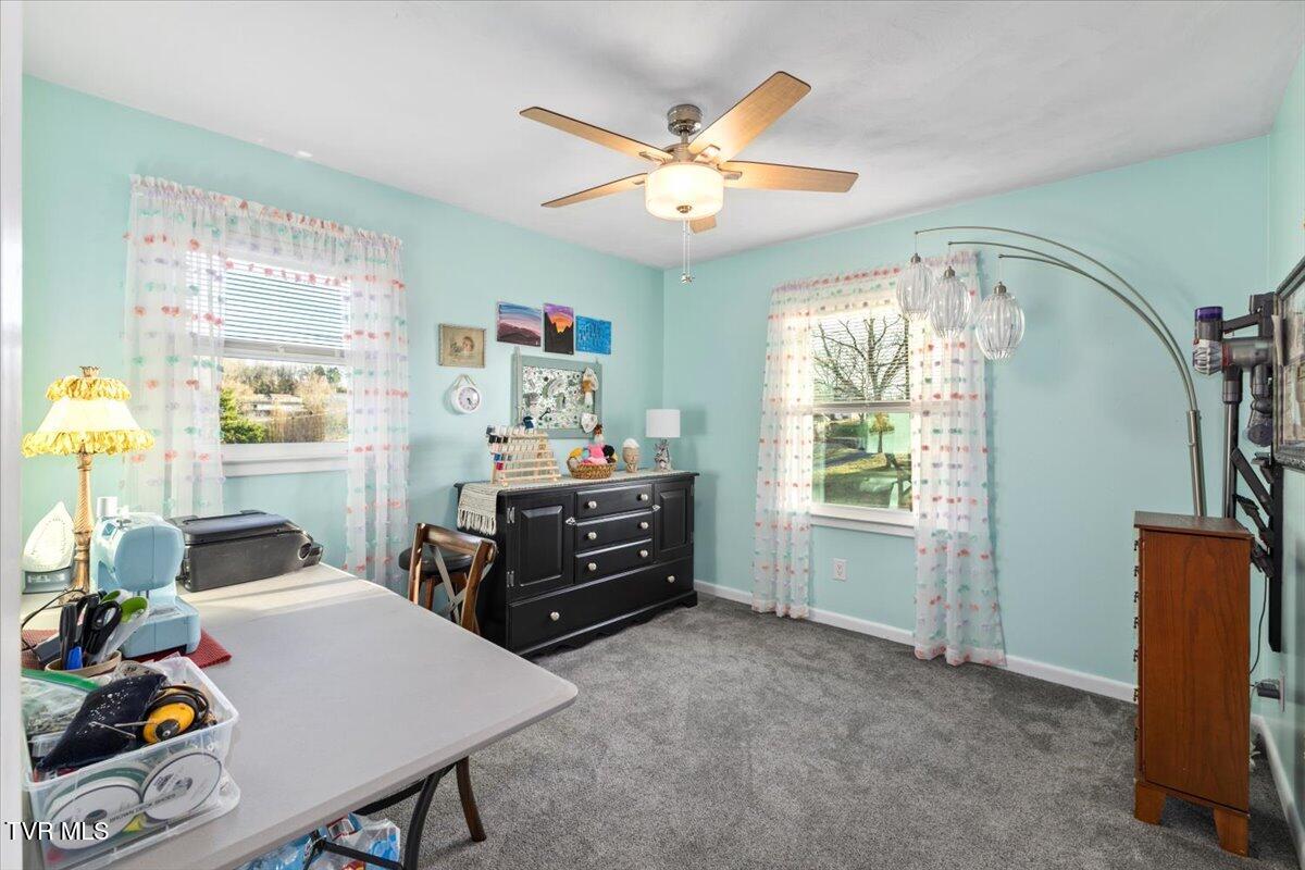 307 Marshall Lane, Greeneville, Tennessee image 20