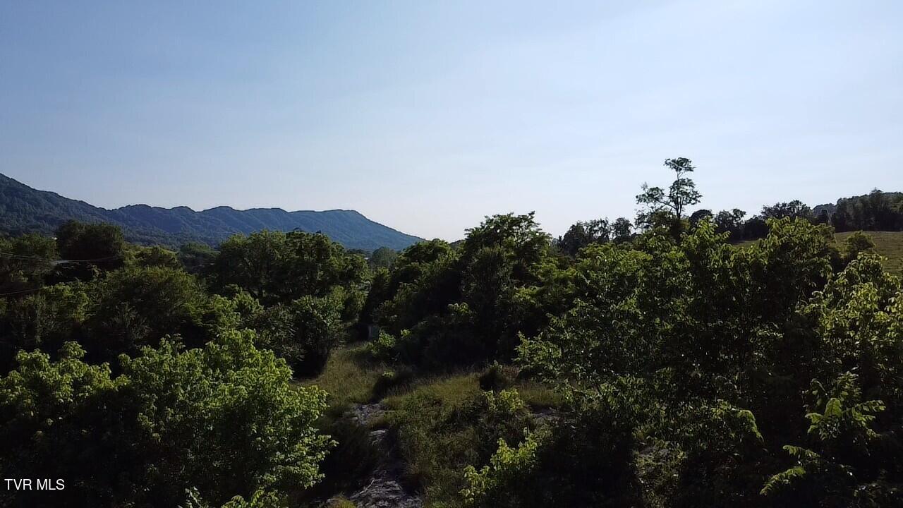 3198 Big Moccasin Road, Nickelsville, Virginia image 40