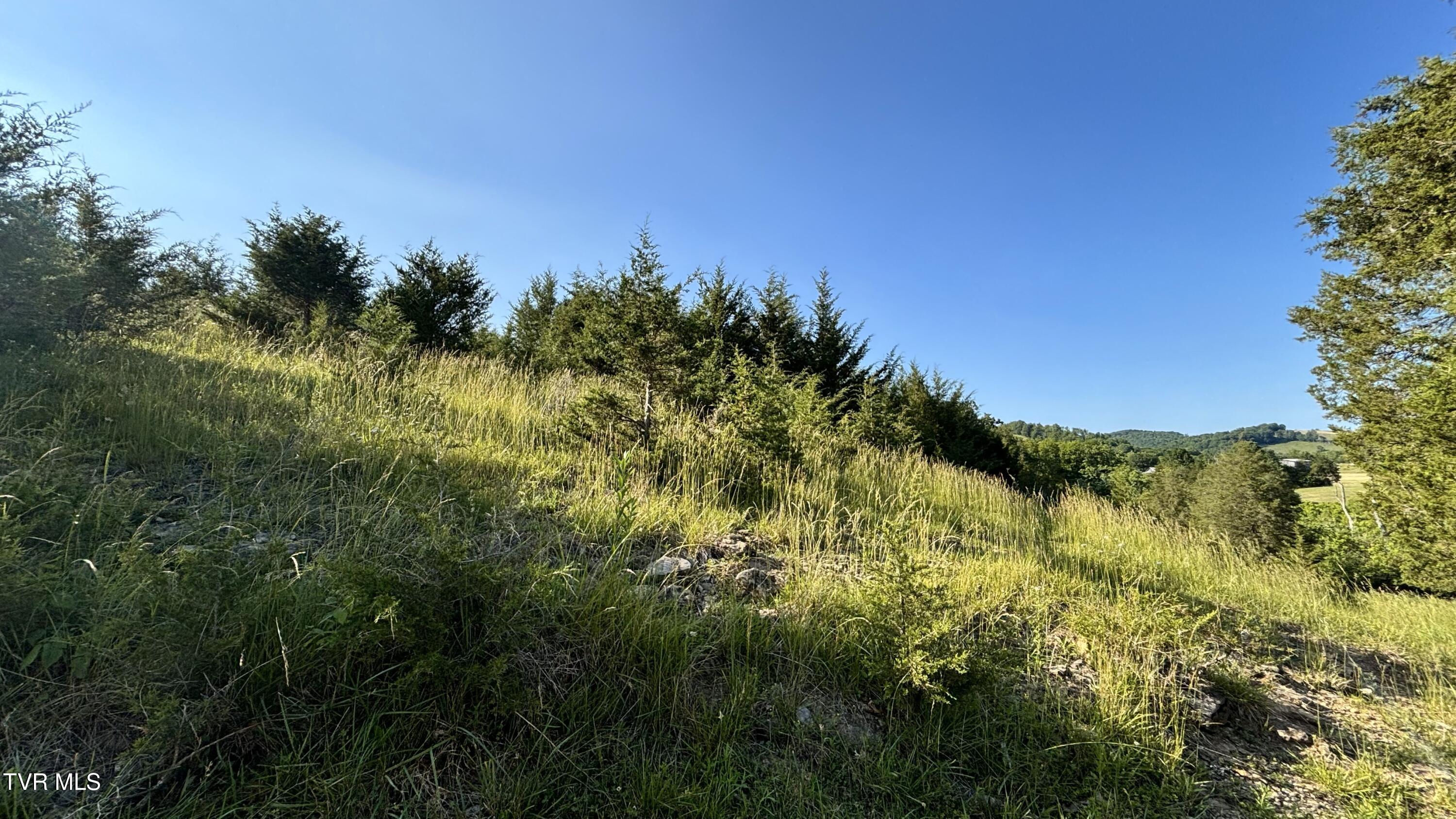 3198 Big Moccasin Road, Nickelsville, Virginia image 48