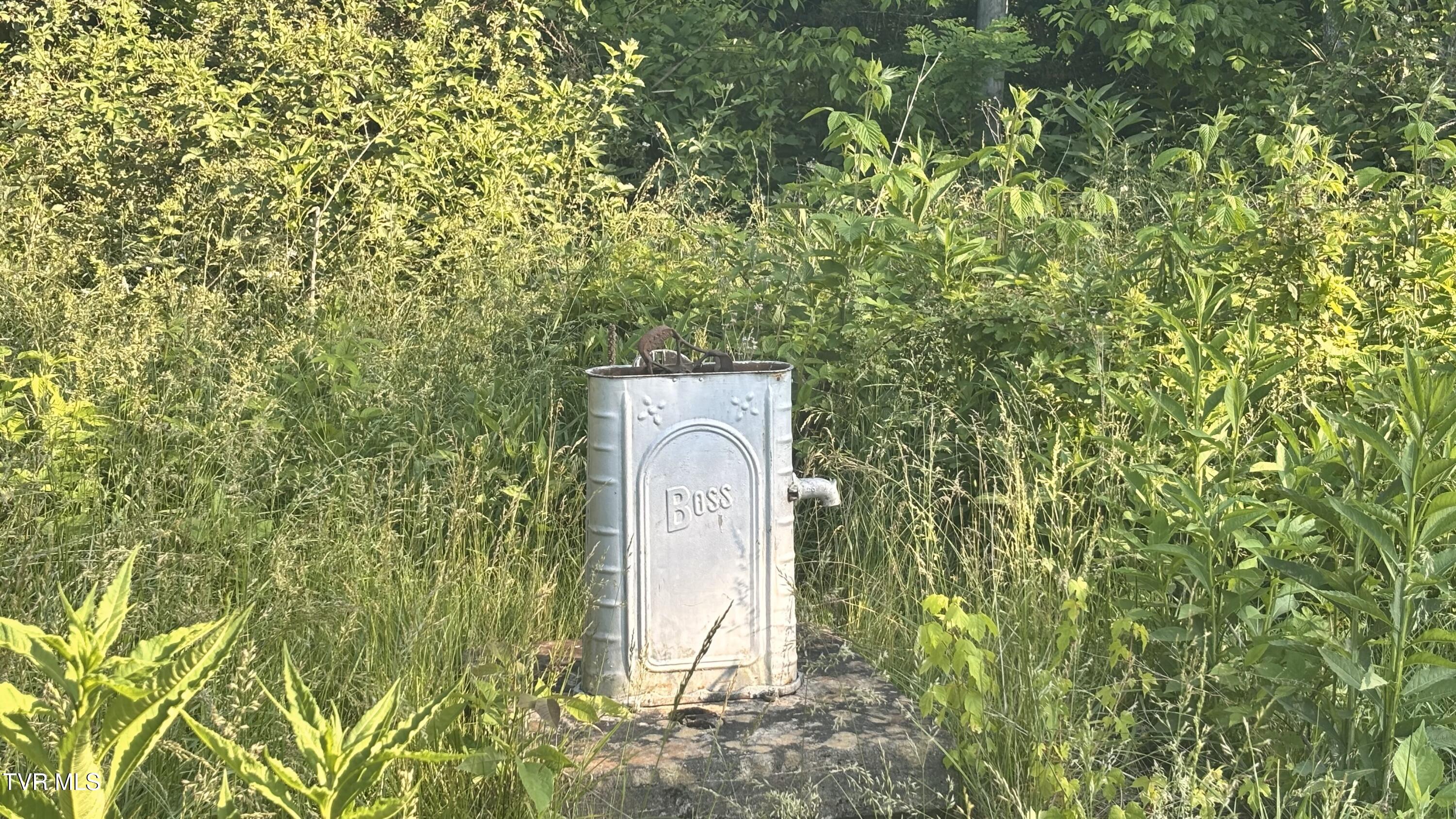 3198 Big Moccasin Road, Nickelsville, Virginia image 28