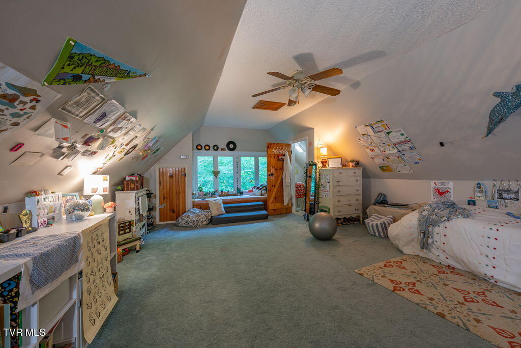 141 Laurel Highlands Road, Roan Mountain, Tennessee image 32