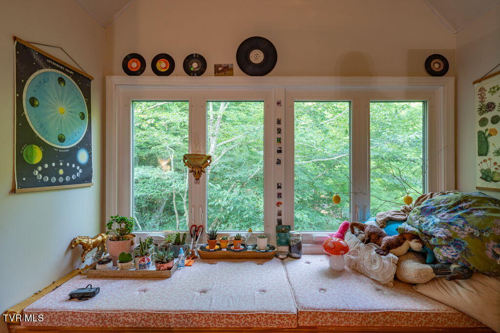 141 Laurel Highlands Road, Roan Mountain, Tennessee image 29