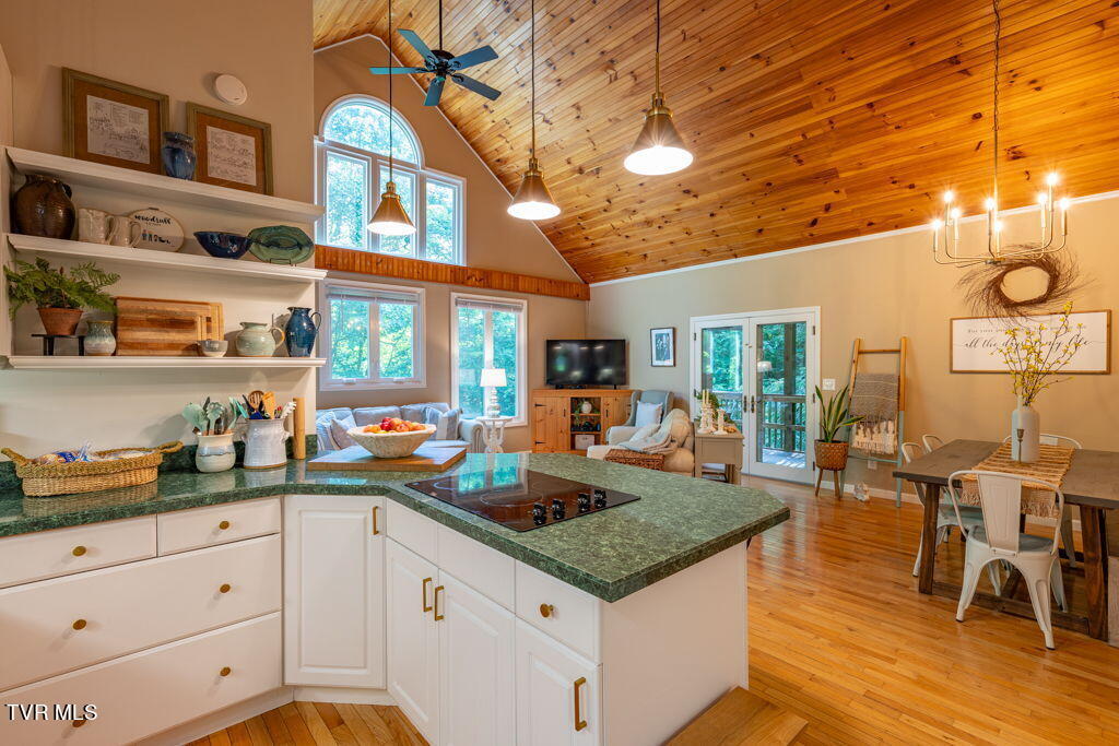 141 Laurel Highlands Road, Roan Mountain, Tennessee image 13