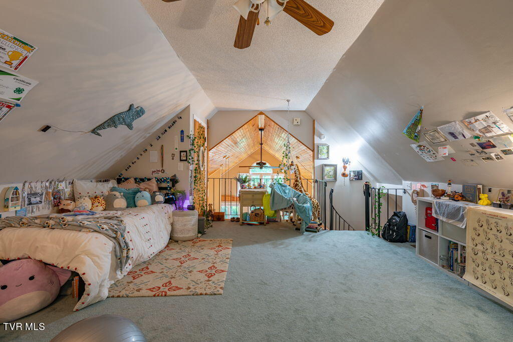 141 Laurel Highlands Road, Roan Mountain, Tennessee image 28