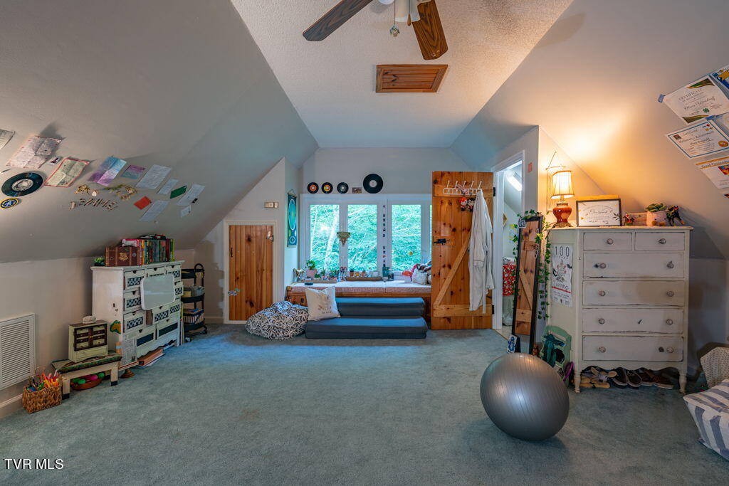 141 Laurel Highlands Road, Roan Mountain, Tennessee image 31