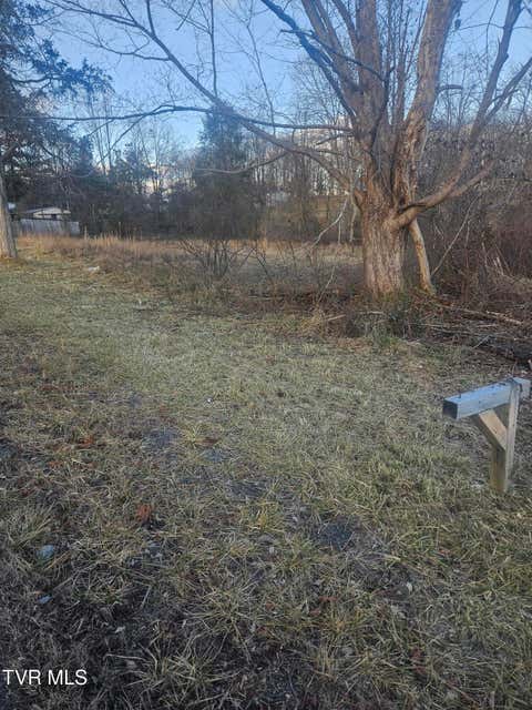 Vacant Land For Sale - 2556 Dungannon Road<br/> Coeburn, VA 24230