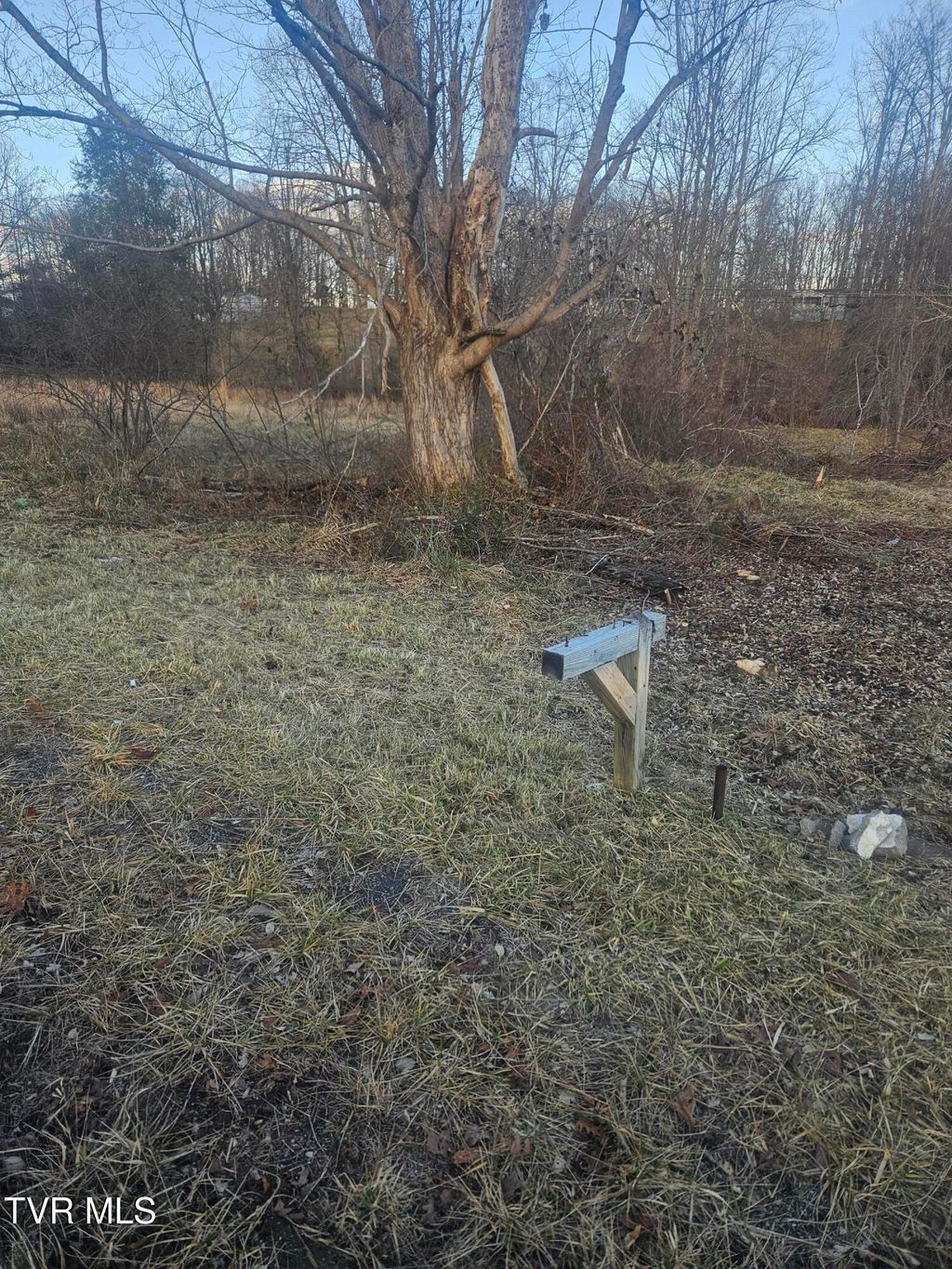 Photo of 2556 Dungannon Road, Coeburn, VA 24230 (MLS # 9990320)