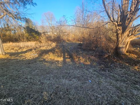 Vacant Land For Sale - 2556 Dungannon Road<br/> Wise County, Coeburn, VA 24230