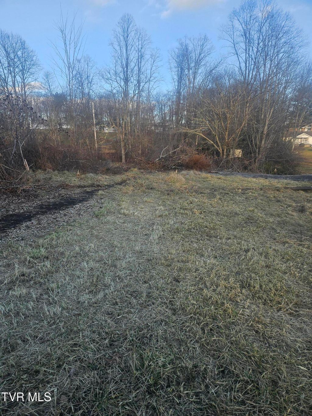 Photo of 2556 Dungannon Road, Coeburn, VA 24230 (MLS # 9990320)