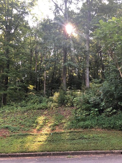 Vacant Land For Sale - LOT 43 Chimney Top Lane<br/> Chuckey, TN 37641