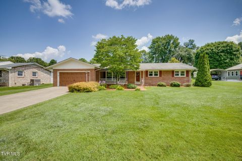 Photo of 821 Julip Drive, Kingsport, TN 37663 (MLS # 9997529)