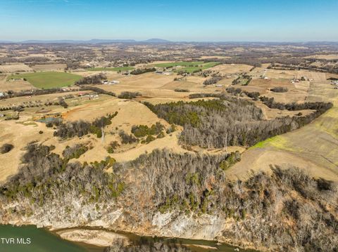 Vacant Land For Sale - TBD John Matthews Rd.<br/> Limestone, TN 37681