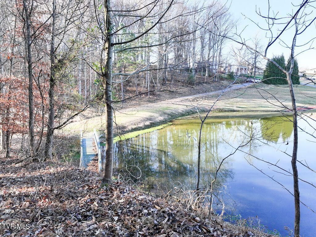 Photo of 148 Reynolds Avenue, Surgoinsville, TN 37873 (MLS # 9989413)