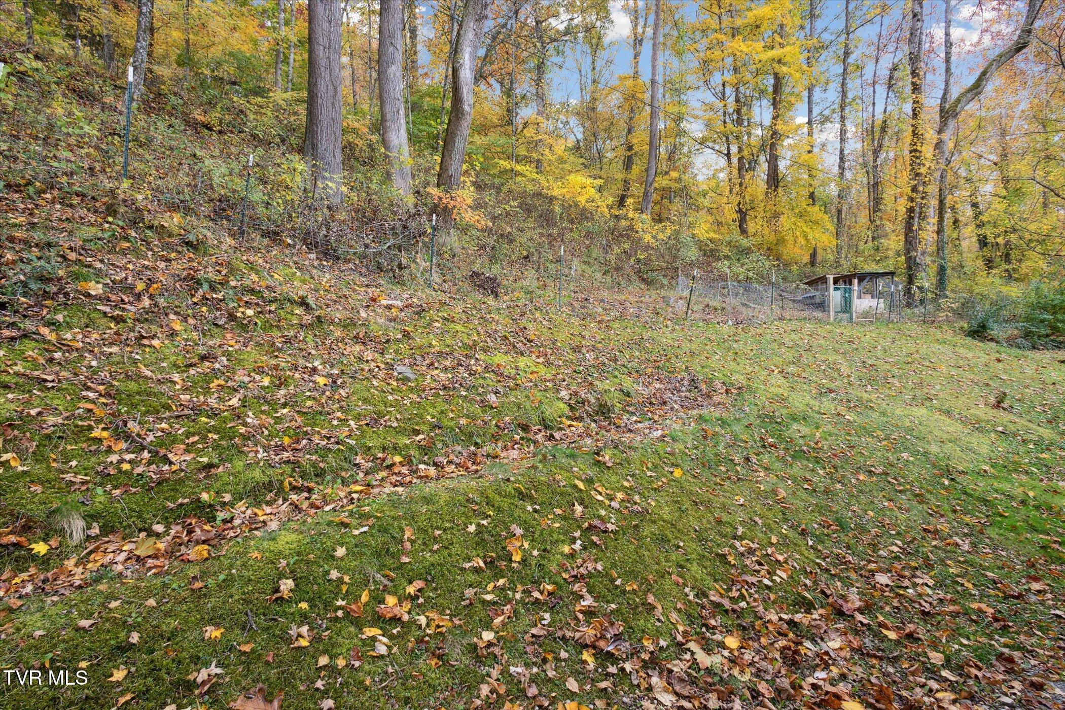 Big Stone Gap, Virginia 24219, United States, 4 Bedrooms Bedrooms, ,2 BathroomsBathrooms,Residential,Pending,38409