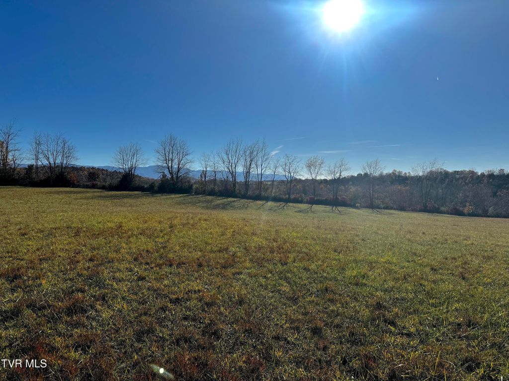 Photo of 180 Glaze Road, Telford, TN 37690 (MLS # 9988159)